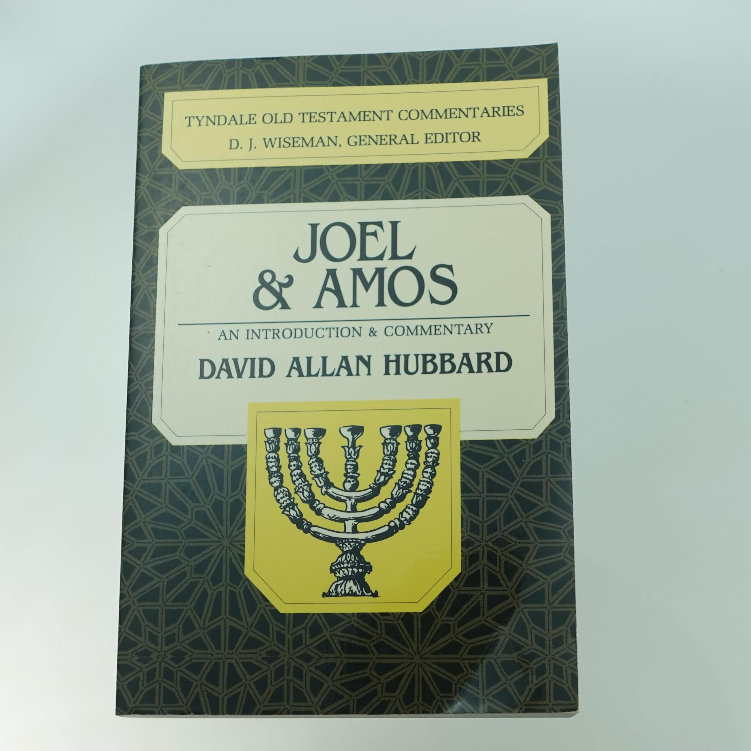 Joel and Amos: An Introduction and Commentary (Tyndale Old Testament Commentaries #22) used book depot