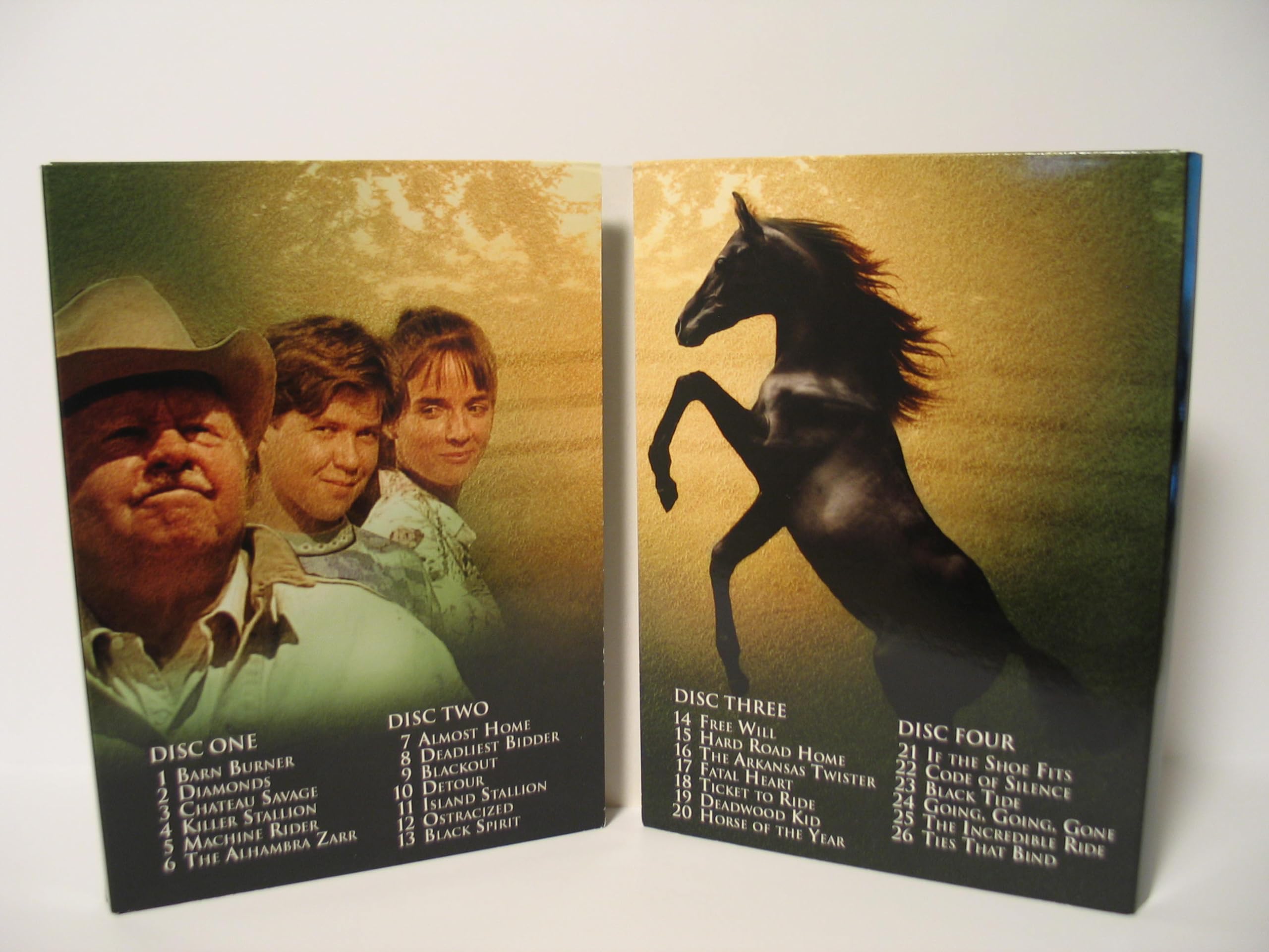 The Adventures of the Black Stallion: Season 2 used book depot