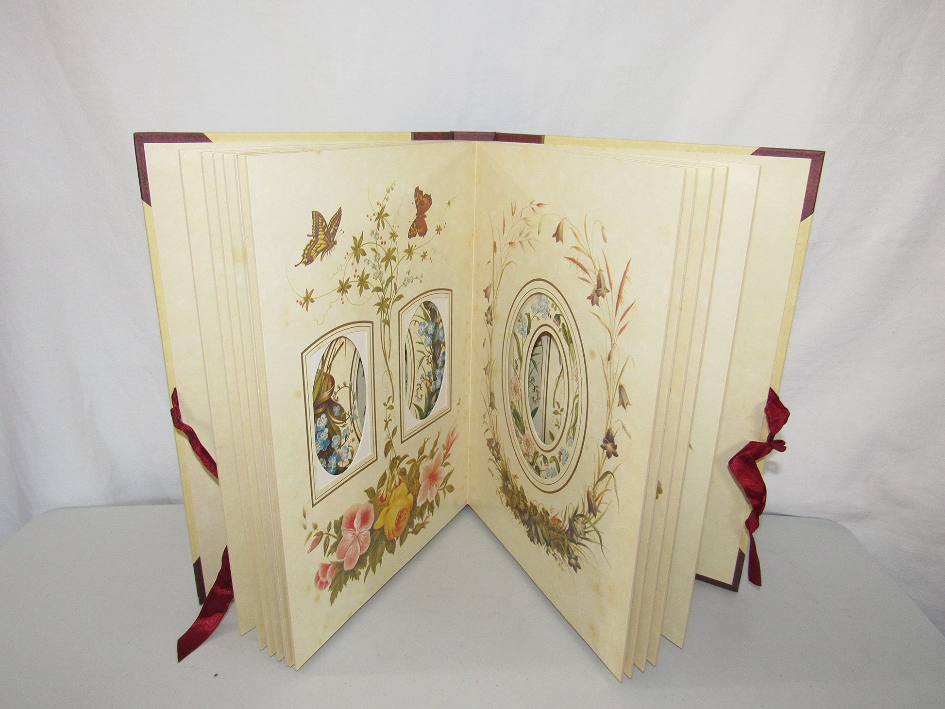 The Victorian Photograph Album: Large used book depot
