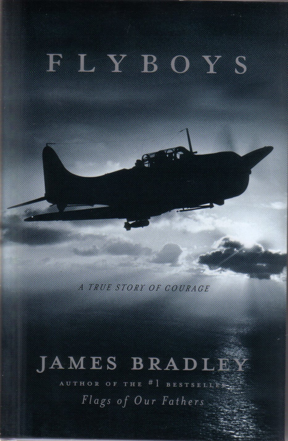 Fly Boys - A True Story of Courage used book depot