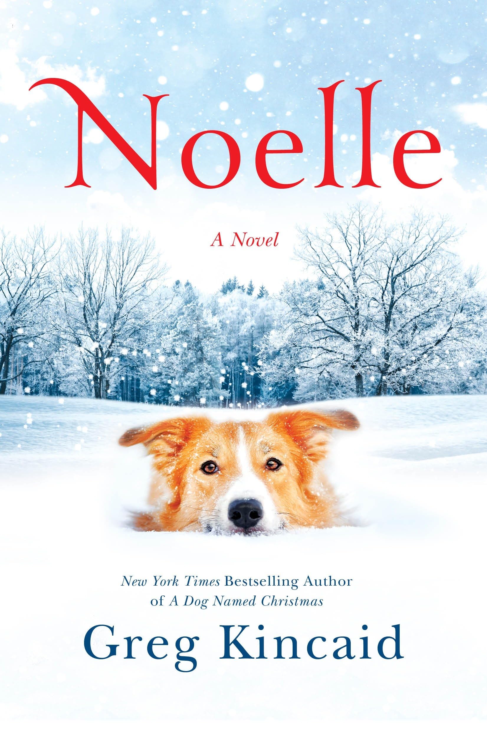 Noelle: A Novel (A Dog Named Christmas) used book depot
