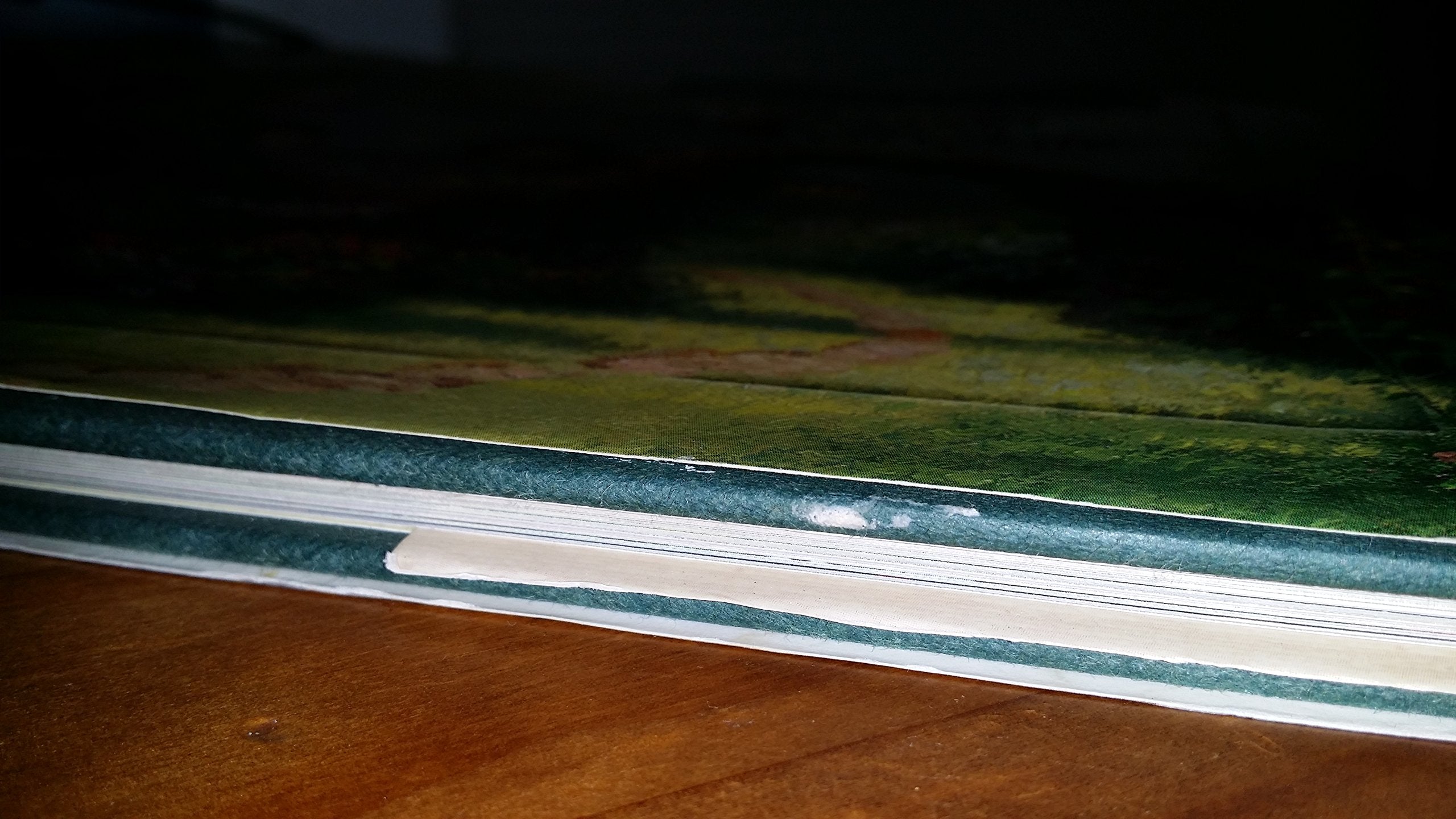 Beyond the Garden Gate (Lighted Path Collection®) used book depot