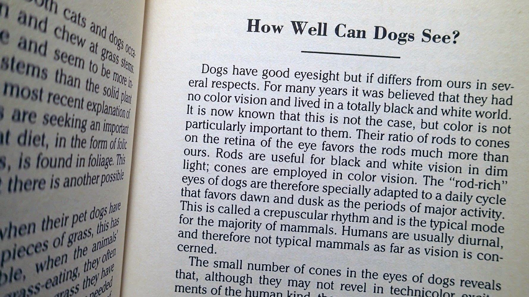 Dogwatching used book depot