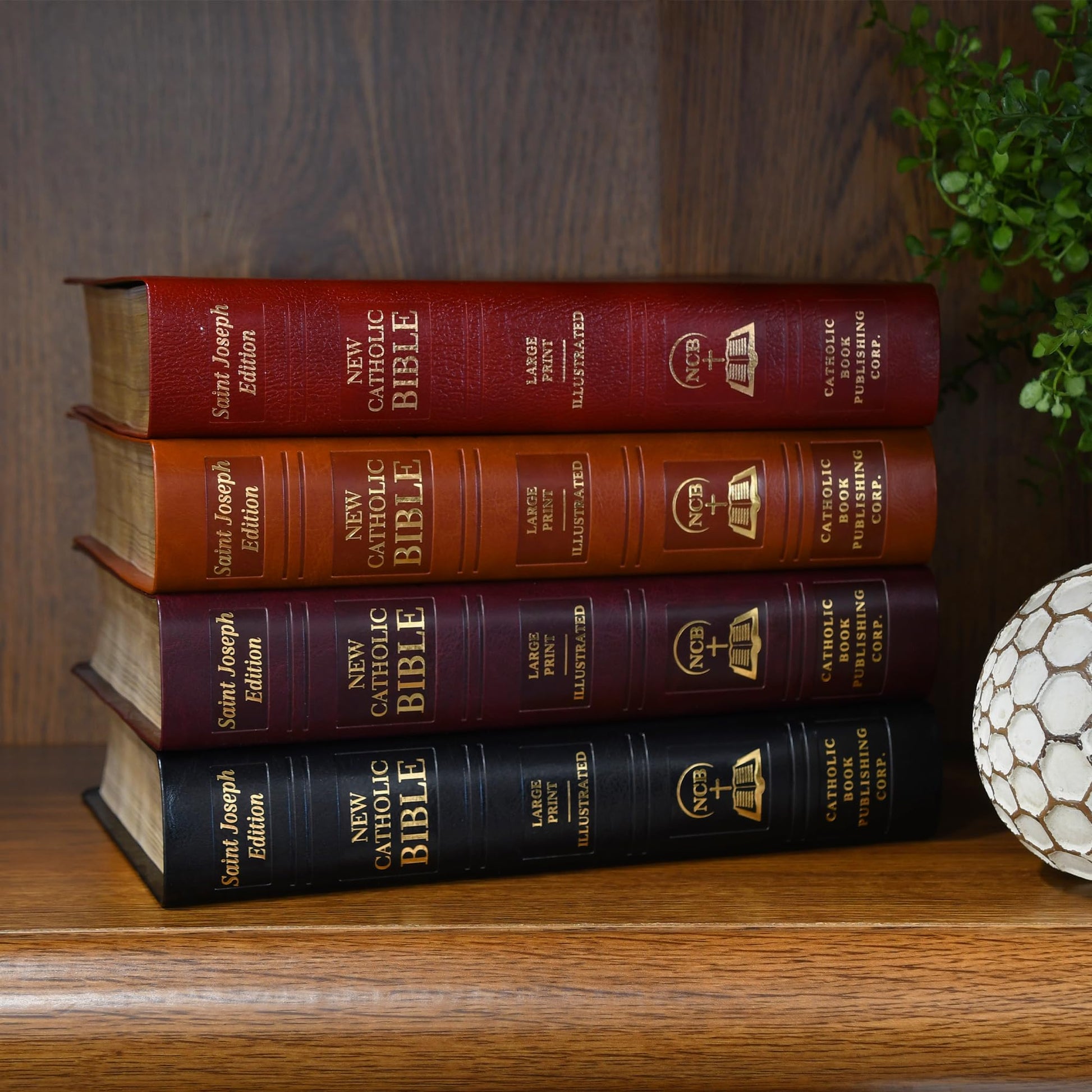 Saint Joseph New Catholic Bible (Large Type) used book depot