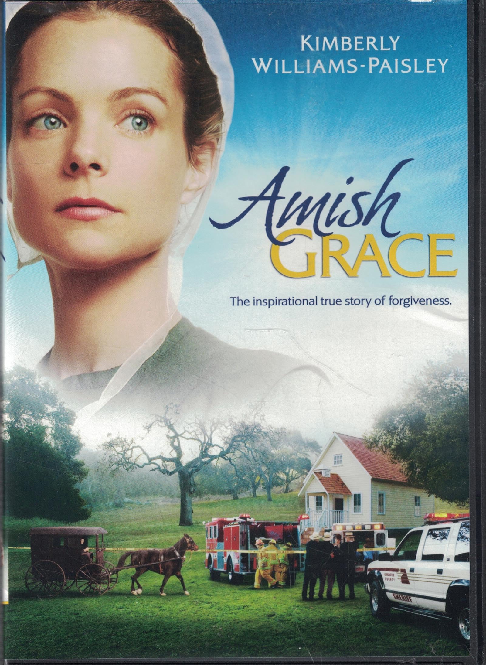 Amish Grace used book depot
