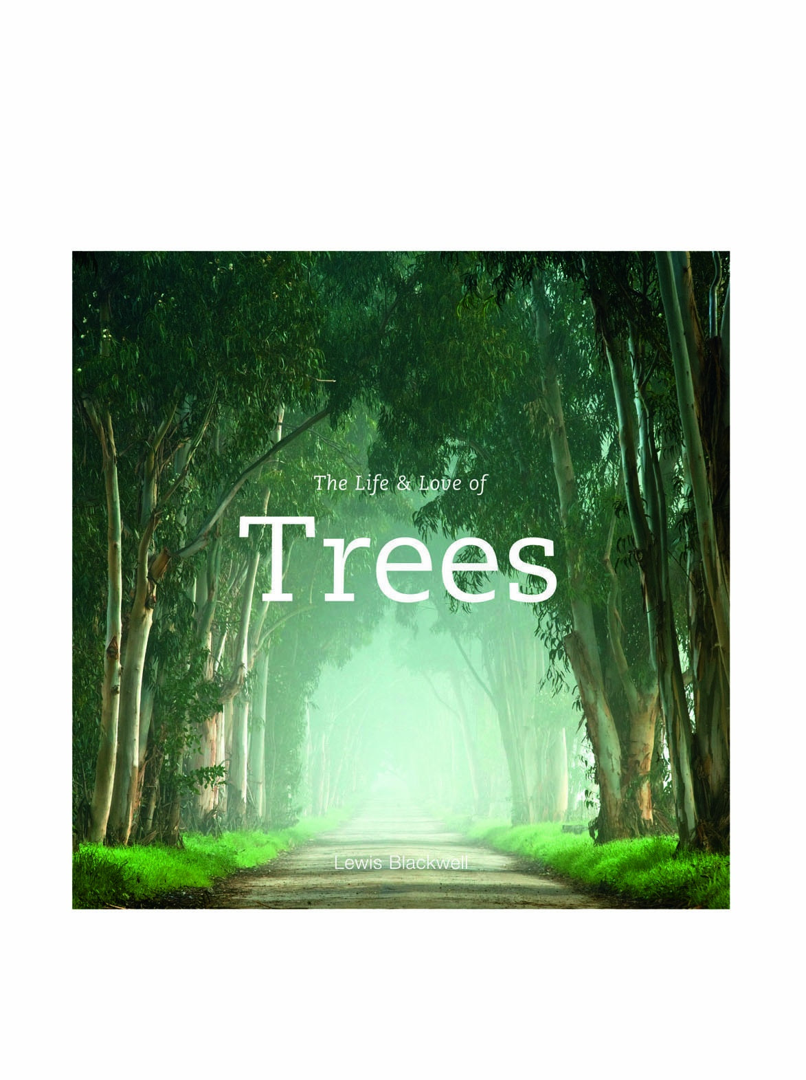 The Life & Love of Trees used book depot
