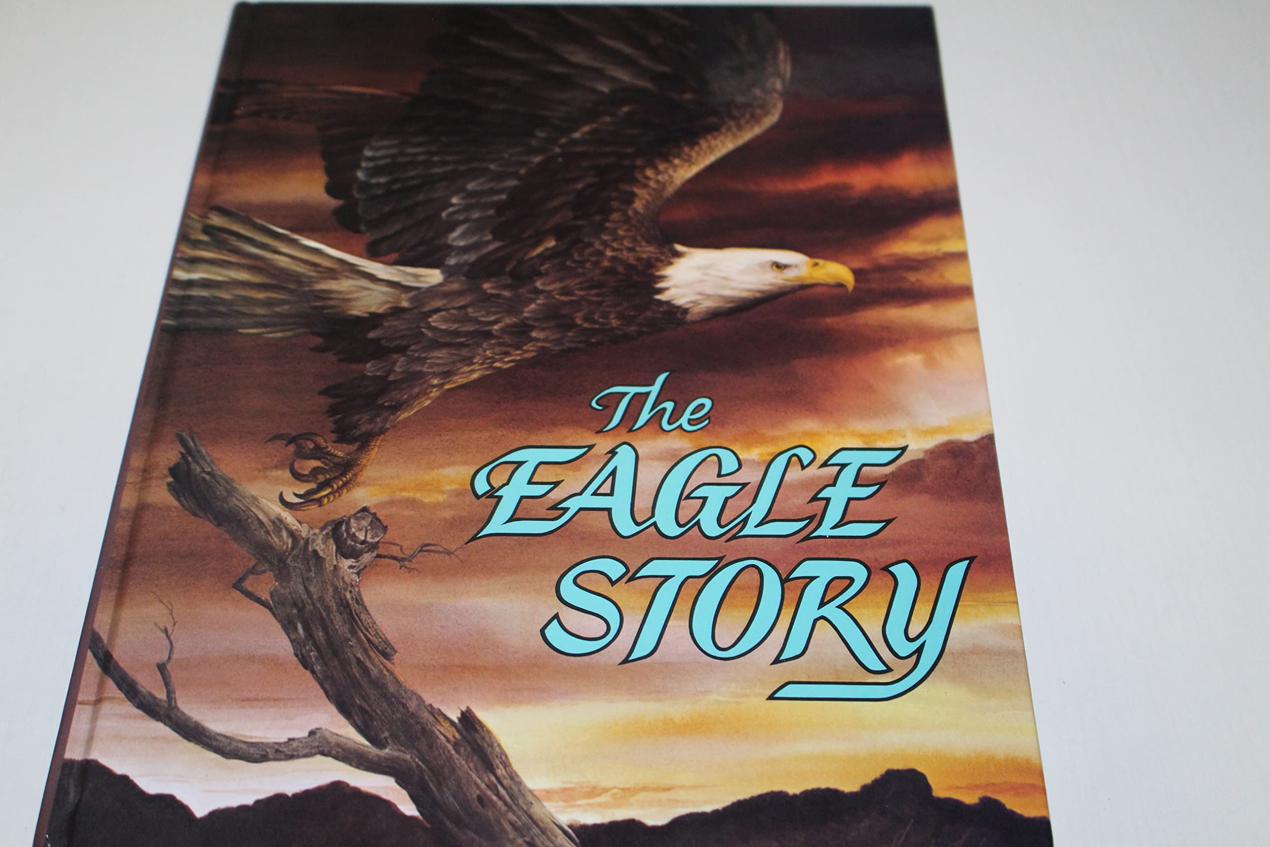 The Eagle Story used book depot