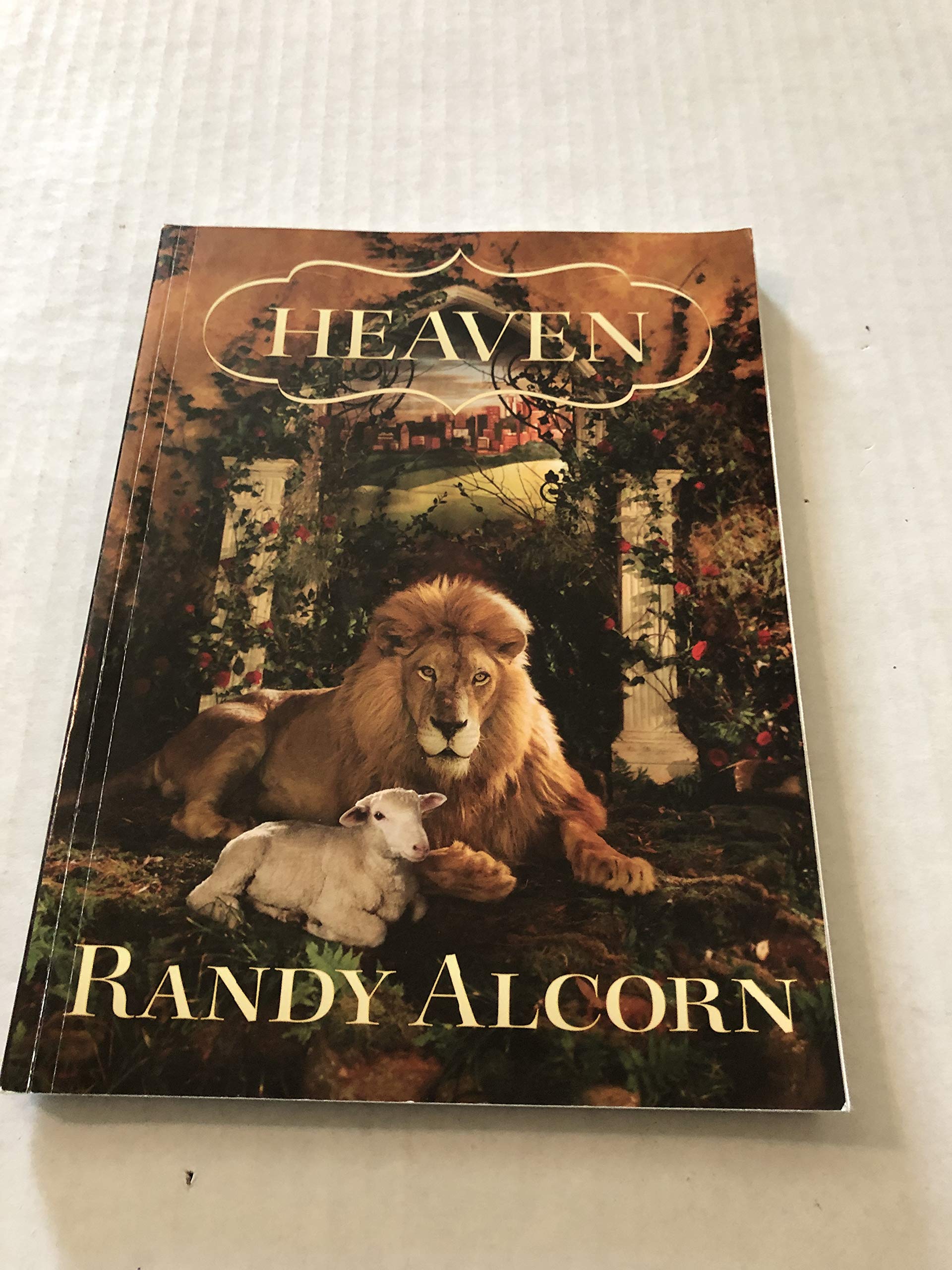 Heaven - Bible Study Book used book depot