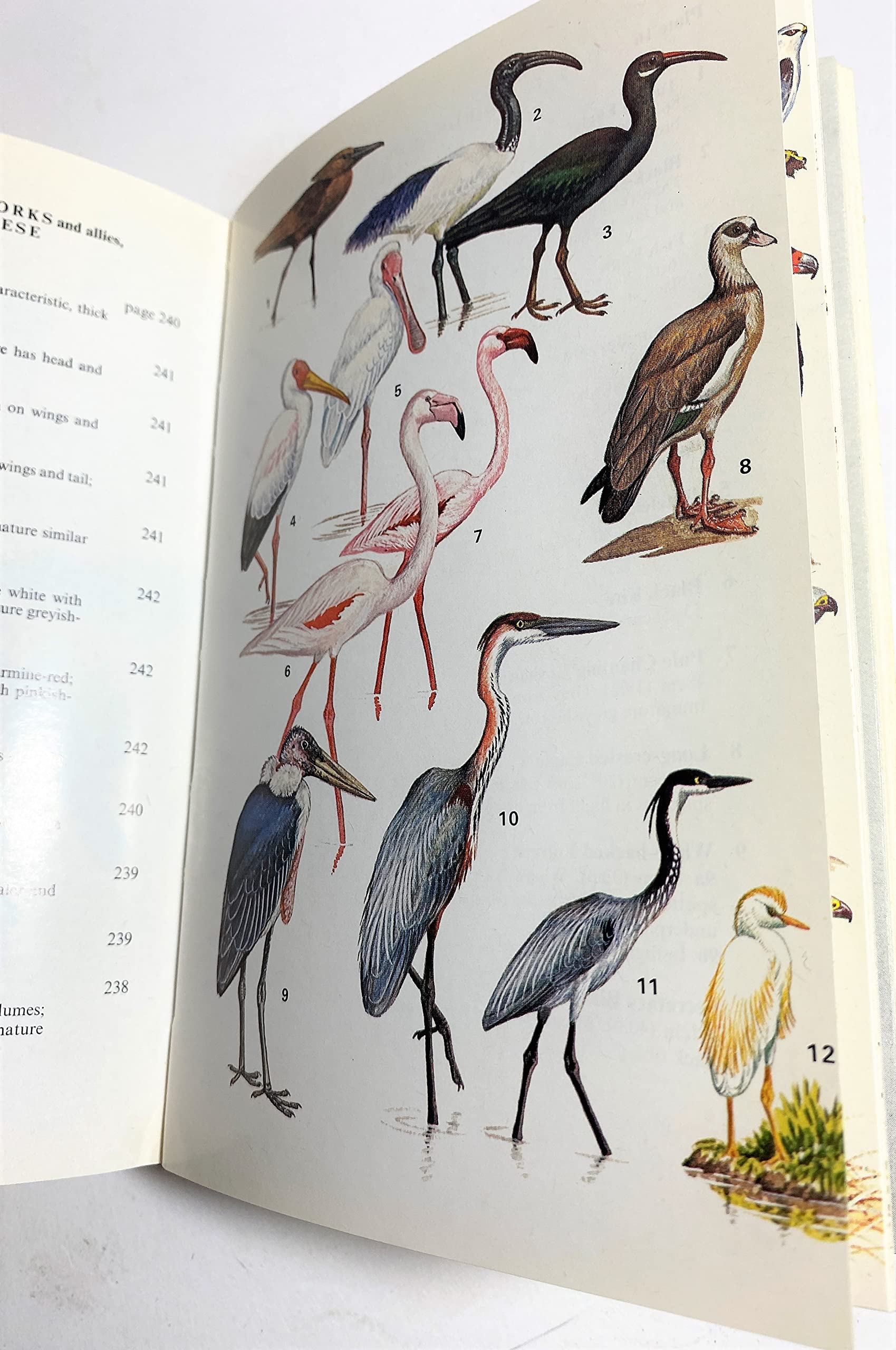 National Parks of East Africa (Collins Field Guides) used book depot