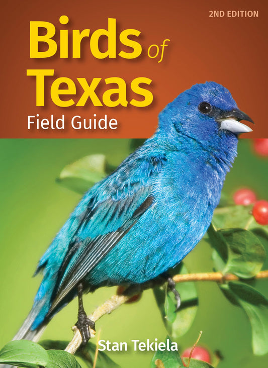 Birds of Texas Field Guide Bird Identification Guides [Paperback] Tekiela, Stan