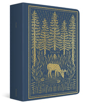 ESV Illuminated Scripture Journal: Psalms used book depot