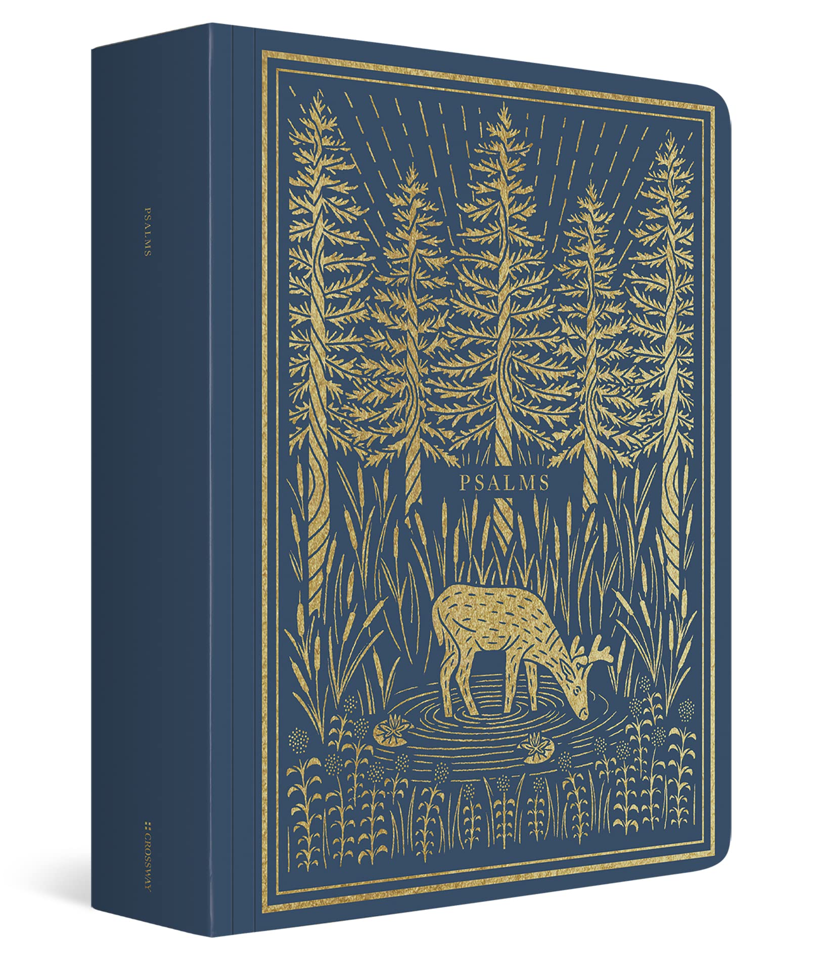ESV Illuminated Scripture Journal: Psalms used book depot