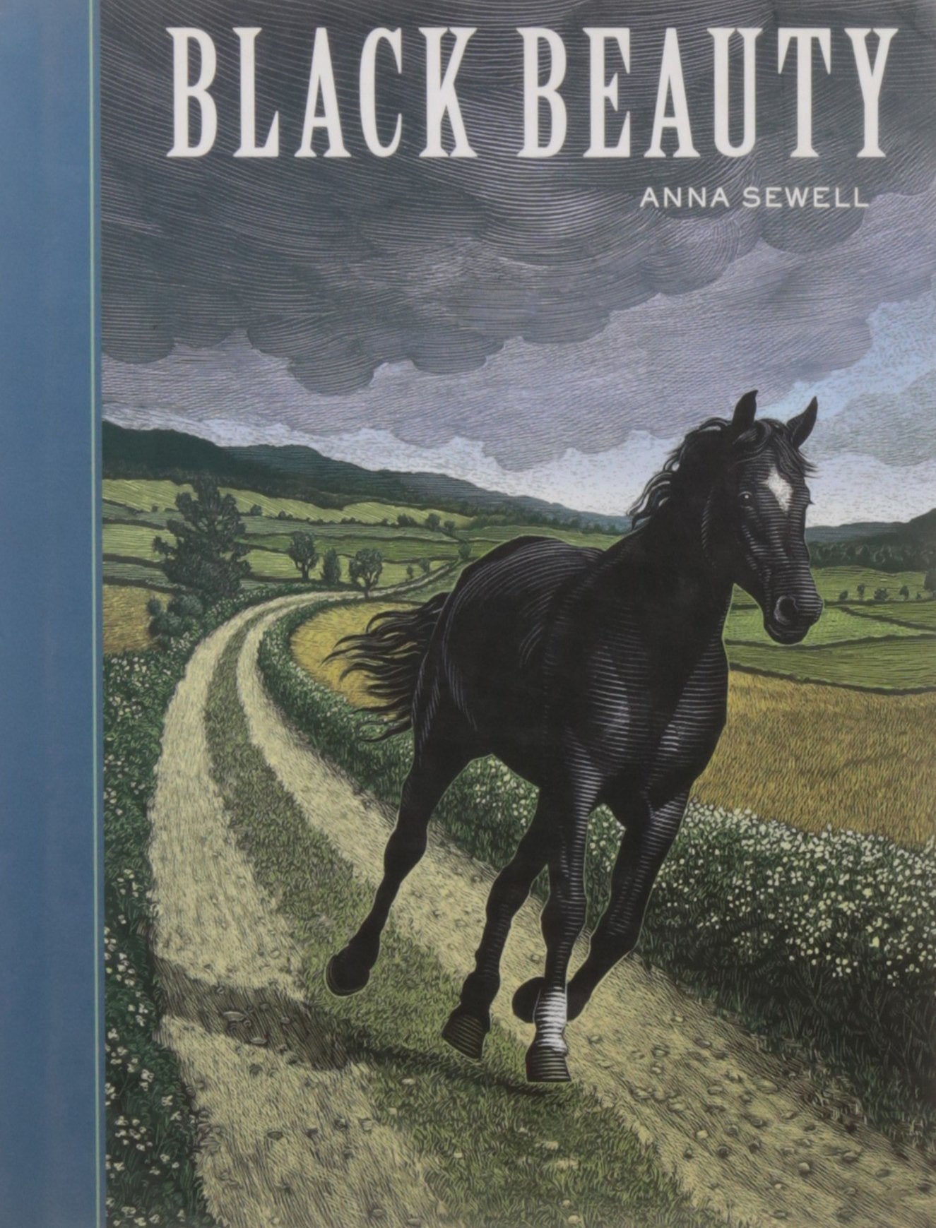 Black Beauty (Union Square Kids Unabridged Classics) used book depot