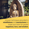 Buddhas Brain: The Practical Neuroscience of Happiness, Love, and Wisdom [Paperback] Rick Hanson and Richard Mendius