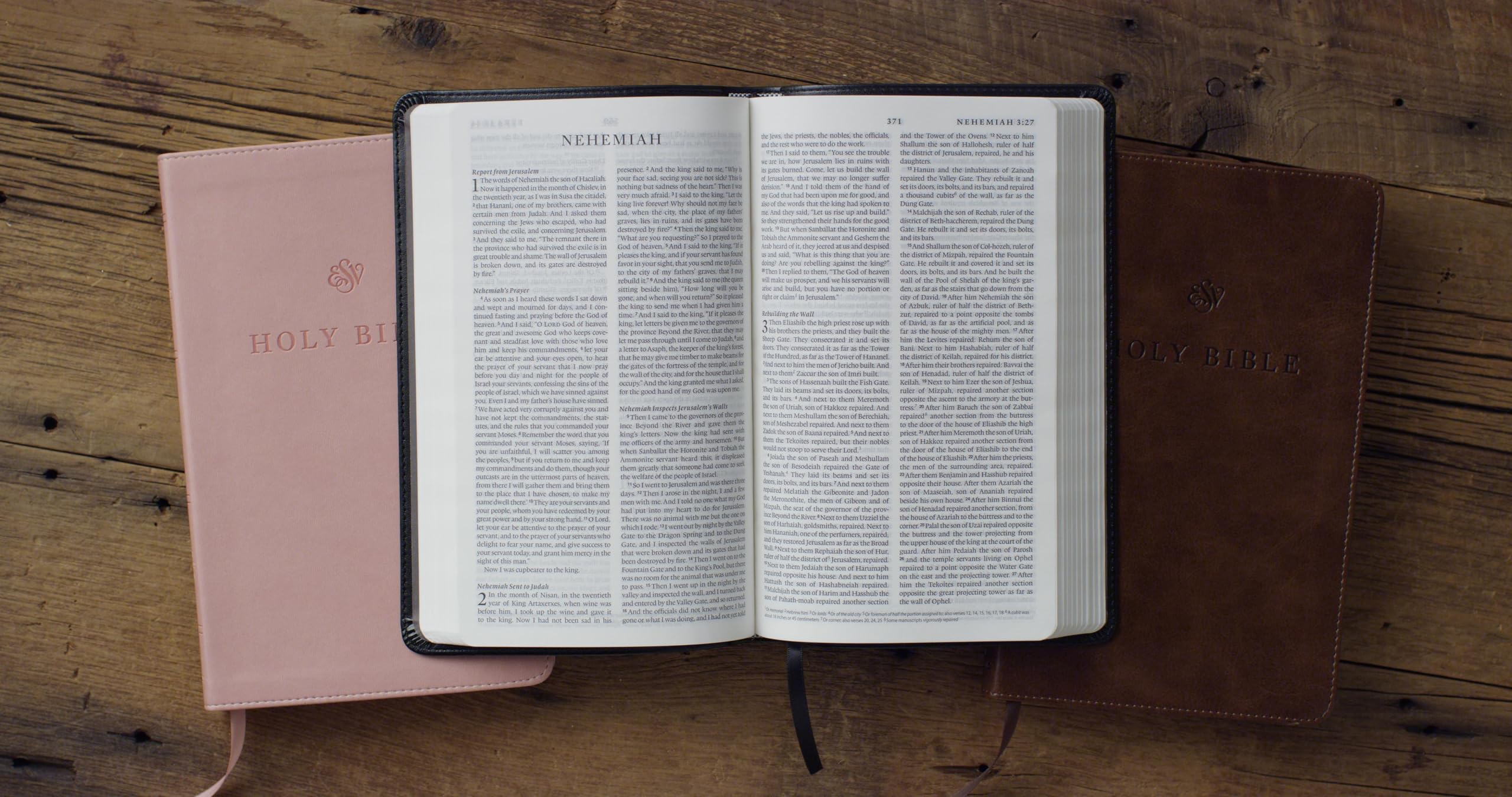 ESV Premium Church Bible (TruTone, Black): Holy Bible, English Standard Version