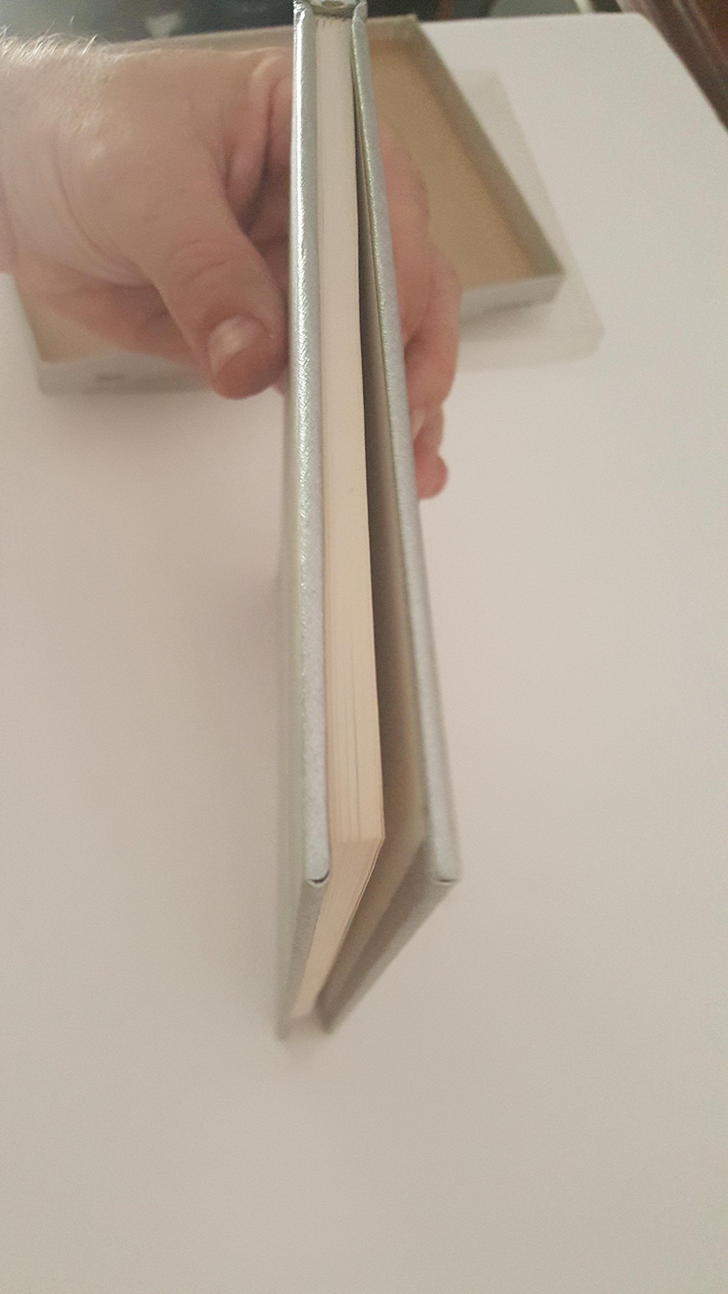 Wings of Silver used book depot