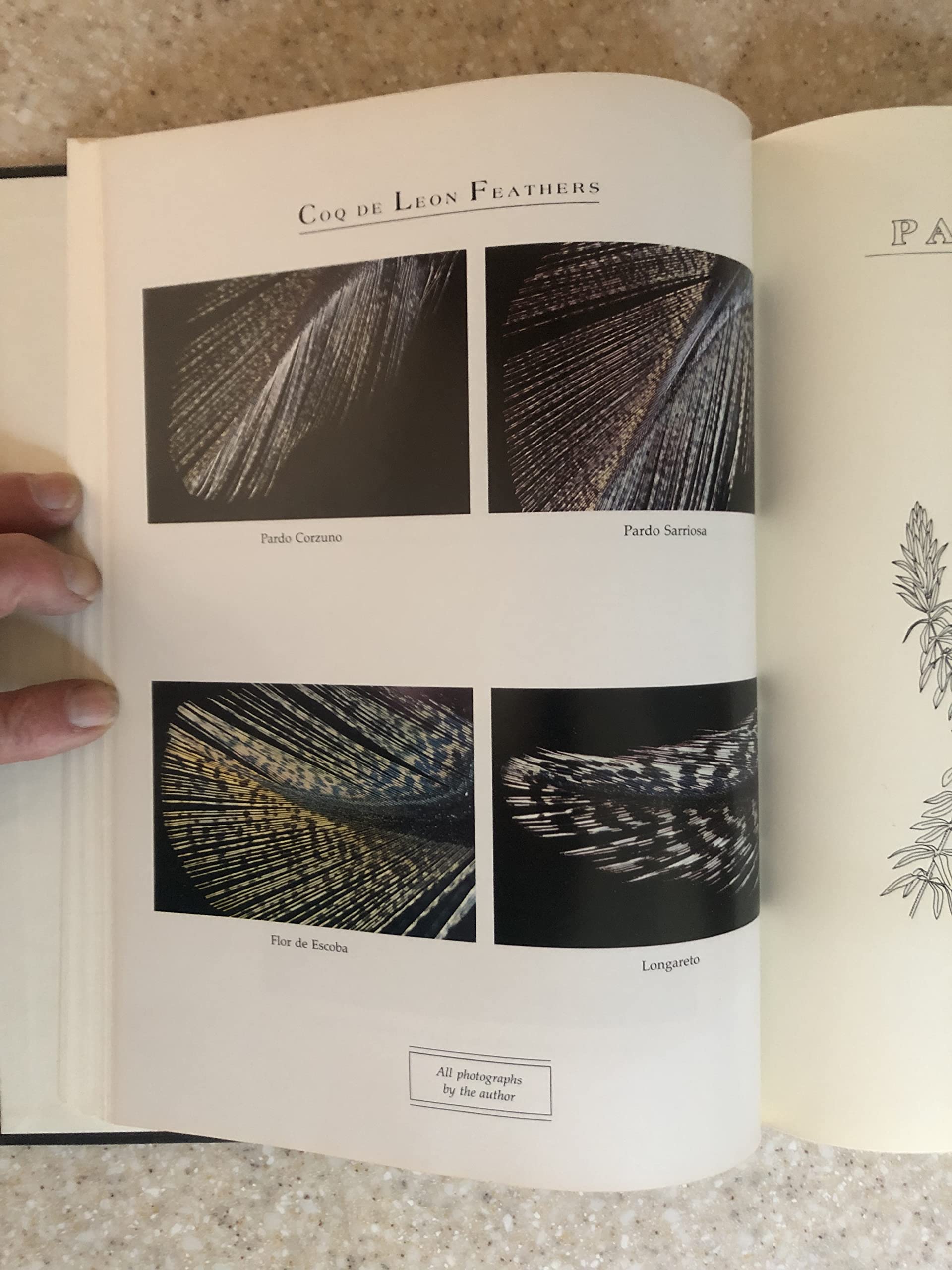 Fly Tying Methods used book depot