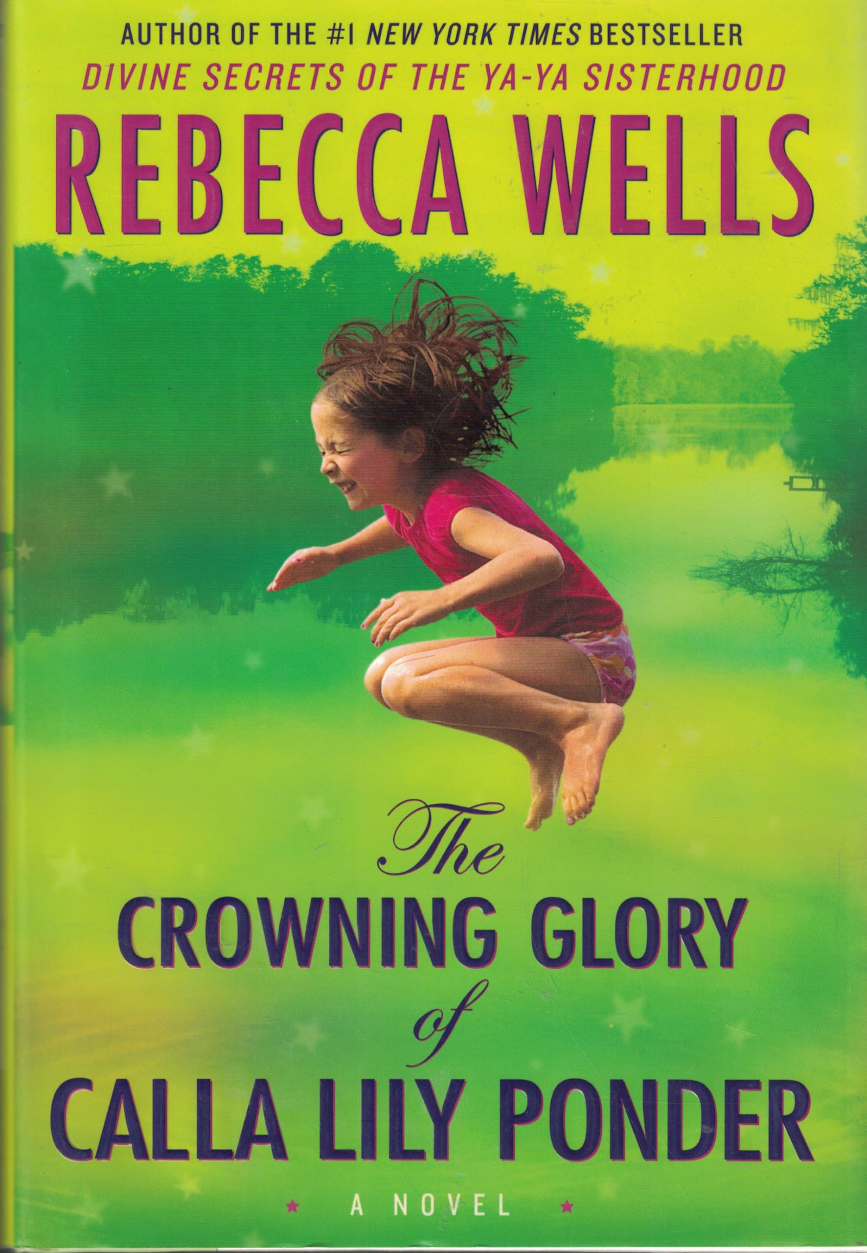 The Crowning Glory of Calla Lily Ponder: A Novel used book depot