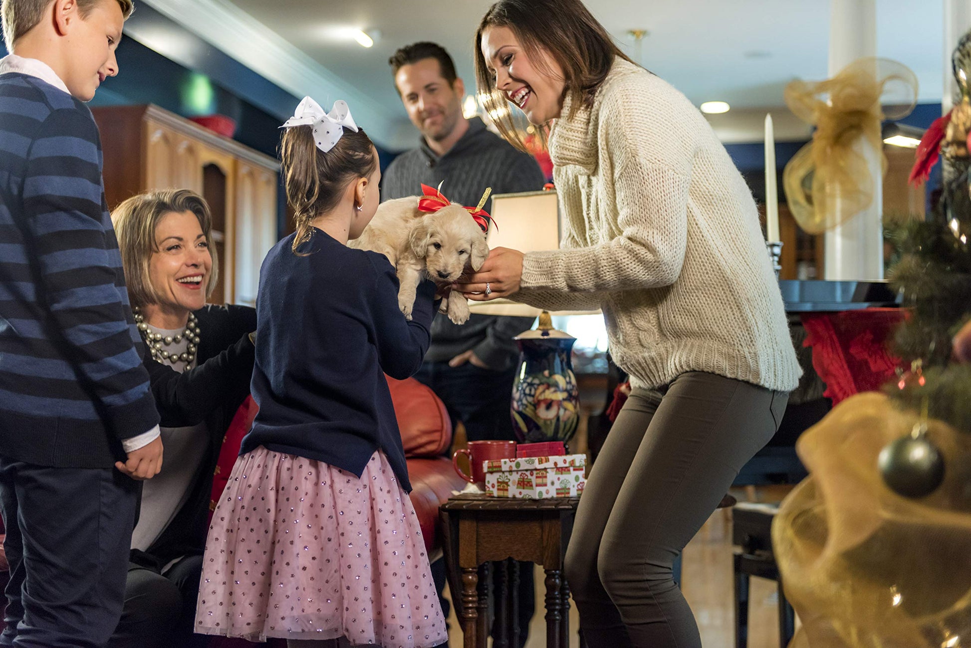 ENGAGING FATHER CHRISTMAS DVD DVD used book depot