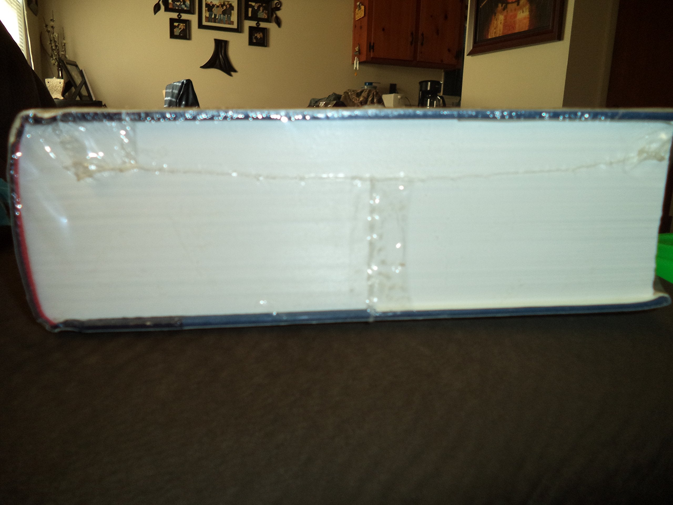 The Reader's Companion to American History