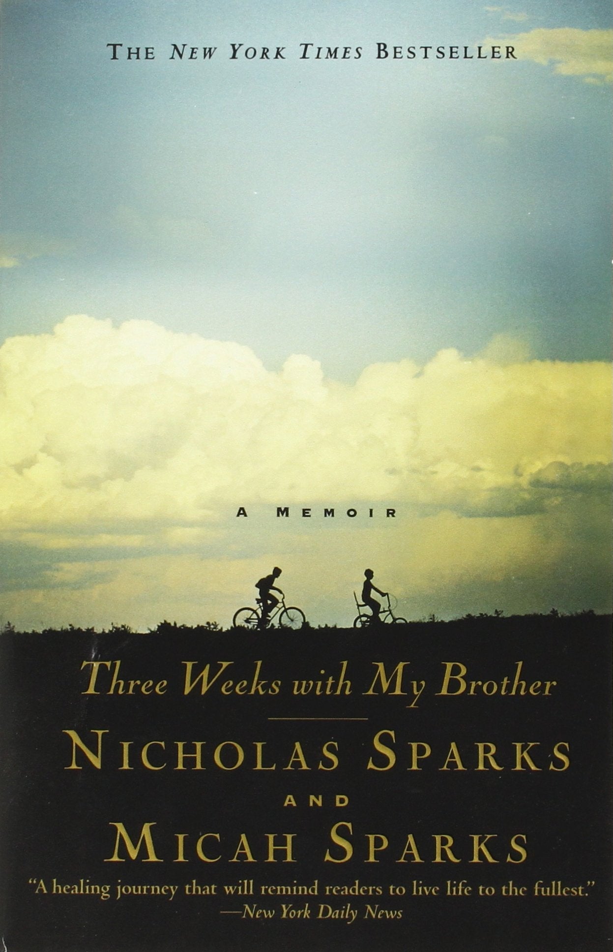 Three Weeks with My Brother used book depot
