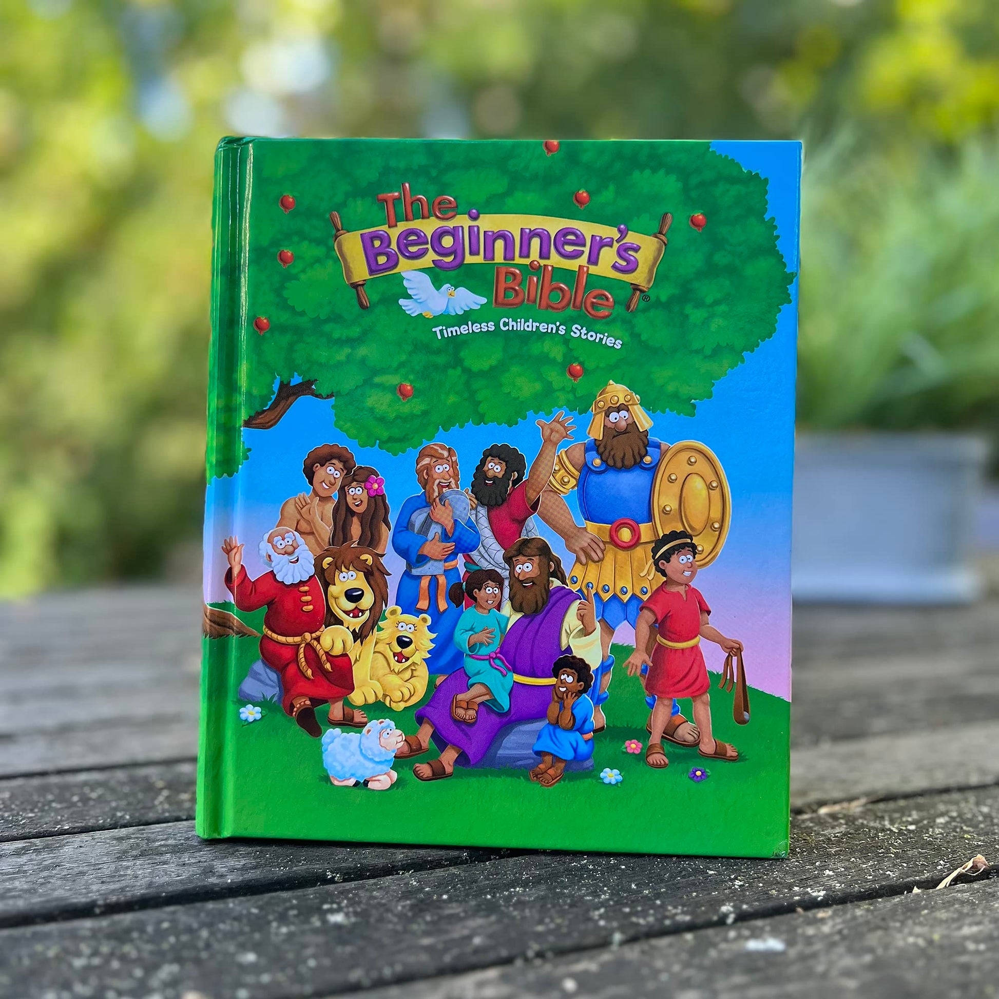 The Beginner's Bible: Timeless Children's Stories used book depot