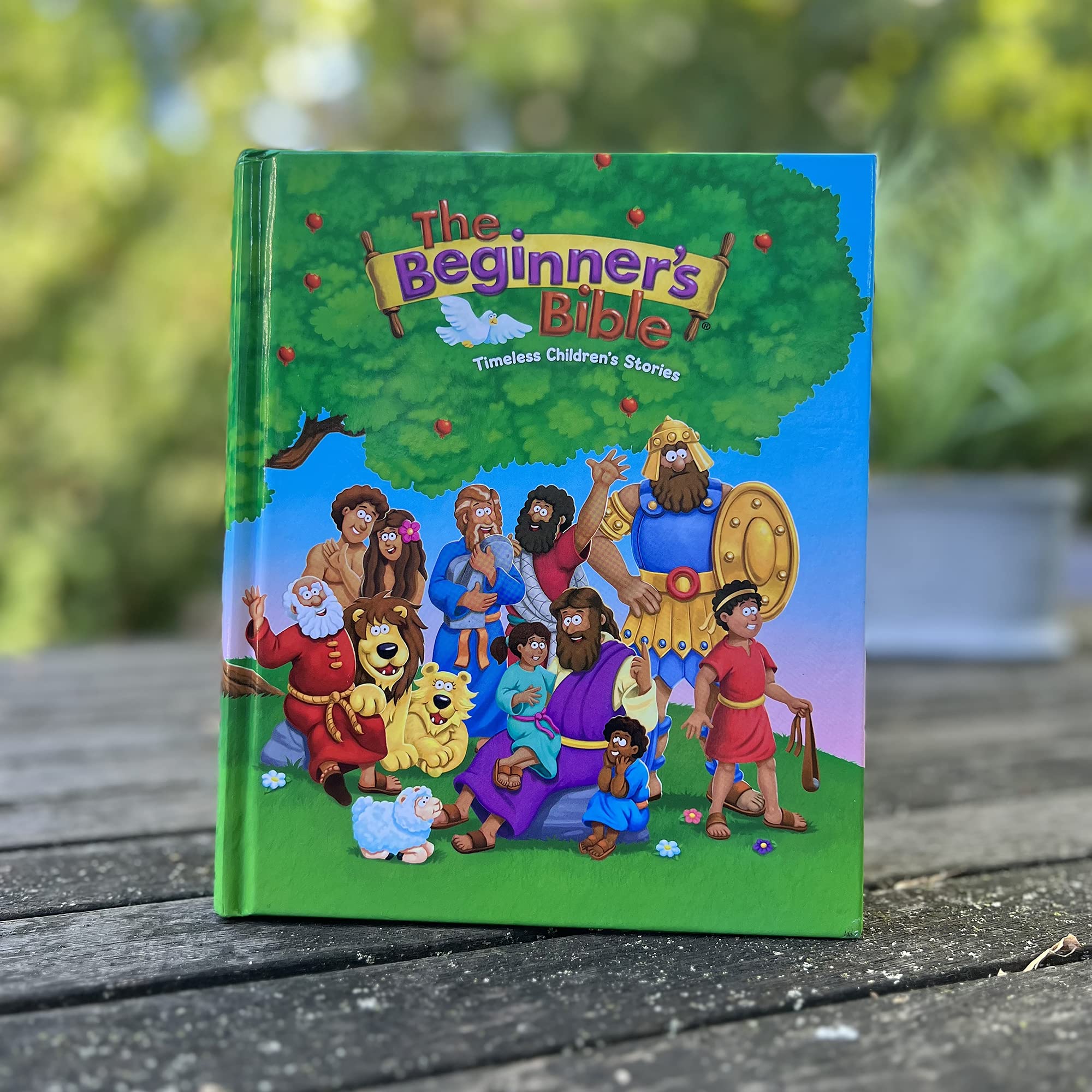 The Beginner's Bible: Timeless Children's Stories used book depot