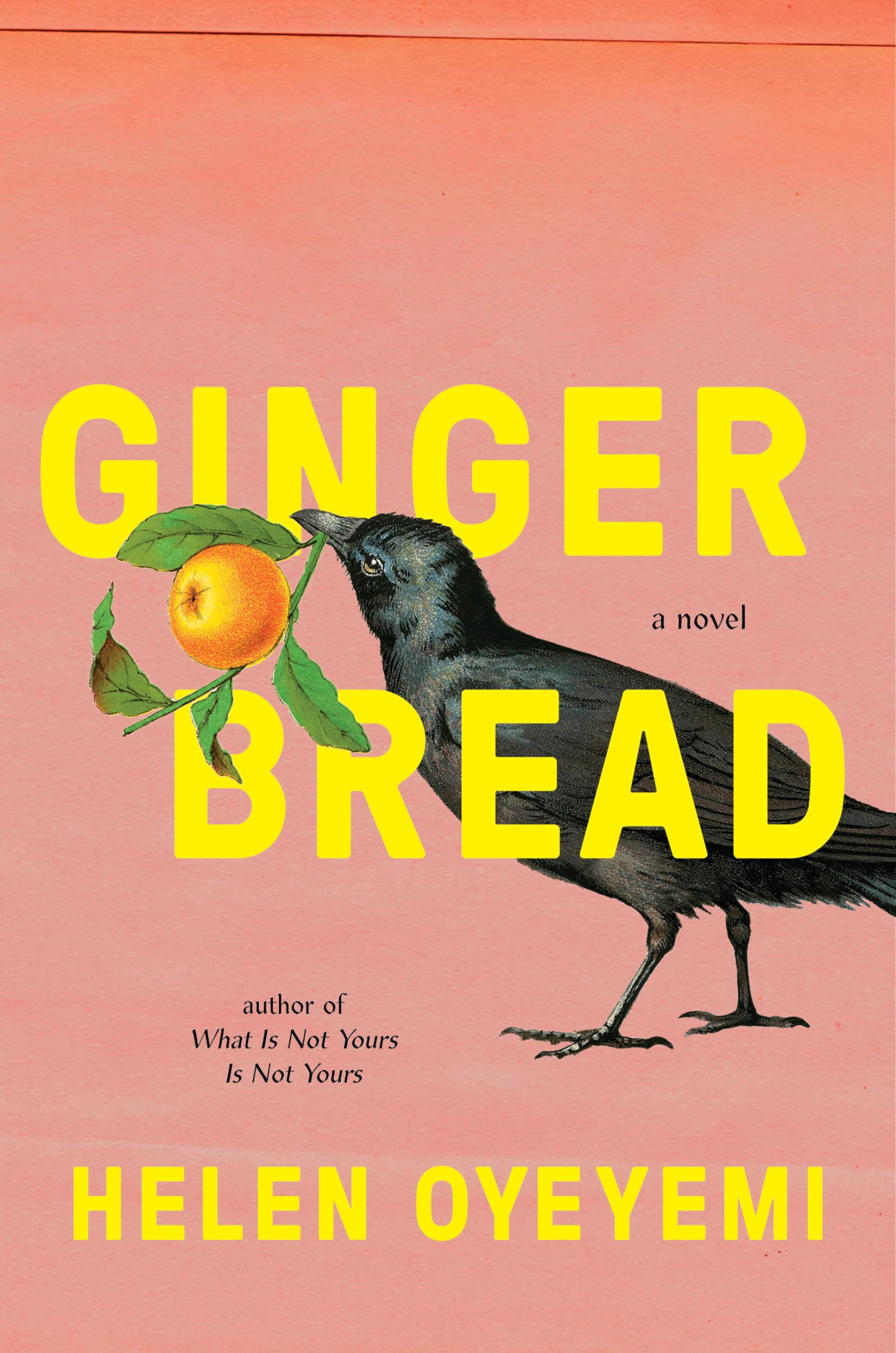 Gingerbread: A Novel used book depot