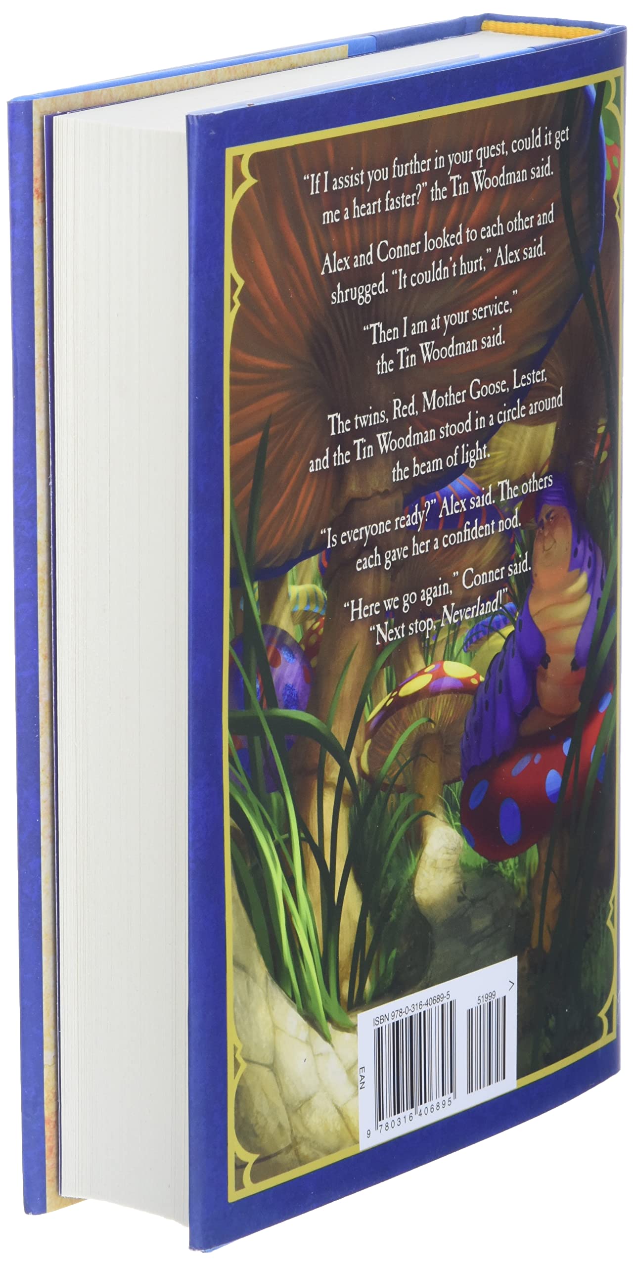 The Land of Stories: Beyond the Kingdoms (The Land of Stories, 4) used book depot