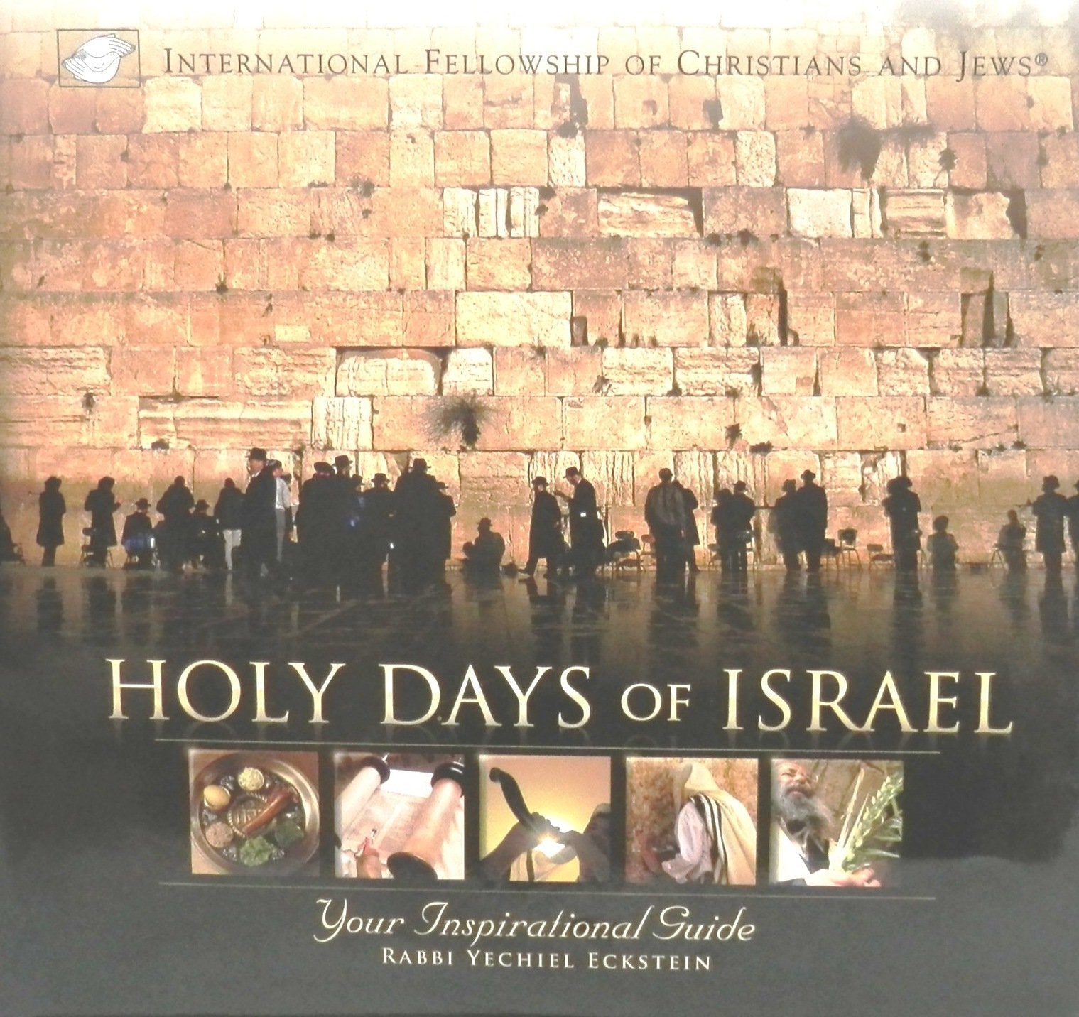 Holy Days of Israel - Your Inspirational Guide used book depot