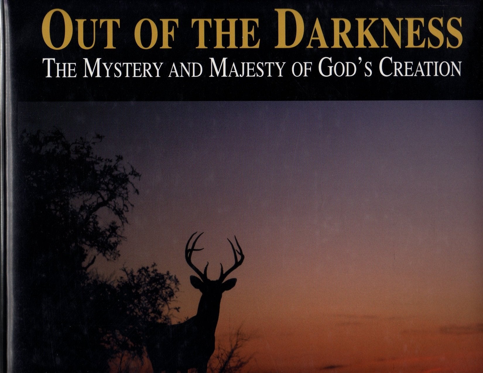 Out of the Darkness: The Mystery and Majesty of God's Creation used book depot