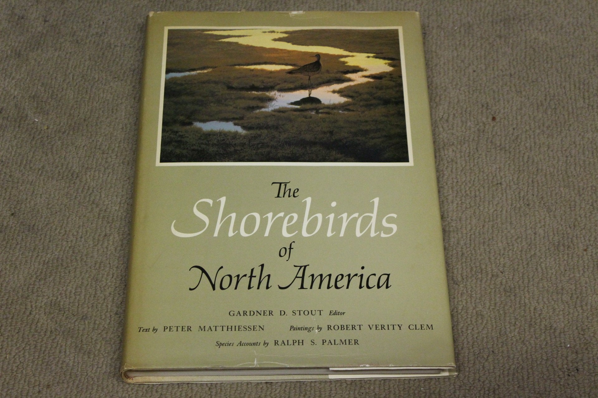 The Shorebirds of North America.