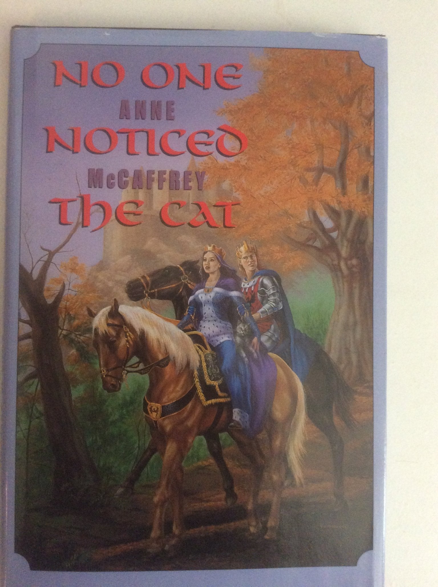 No One Noticed the Cat used book depot