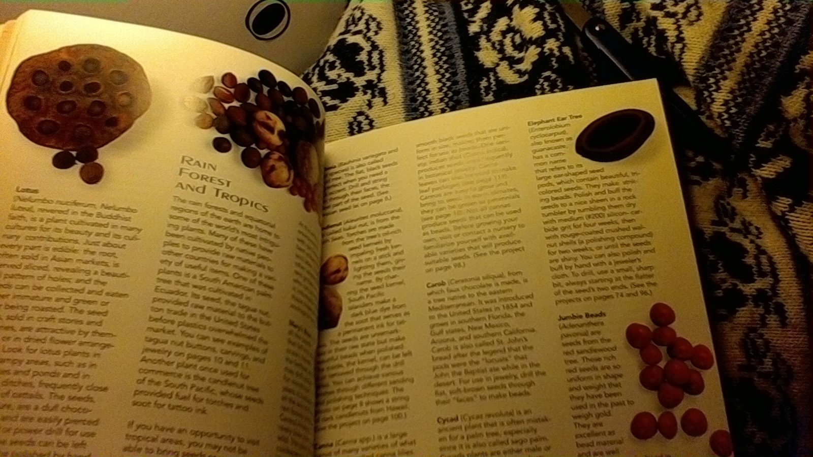 Jewelry From Nature: 45 Great Projects Using Sticks & Stones, Seeds & Bones used book depot