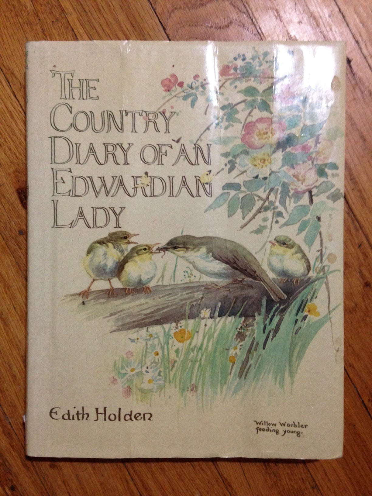 The Country Diary of an Edwardian Lady used book depot