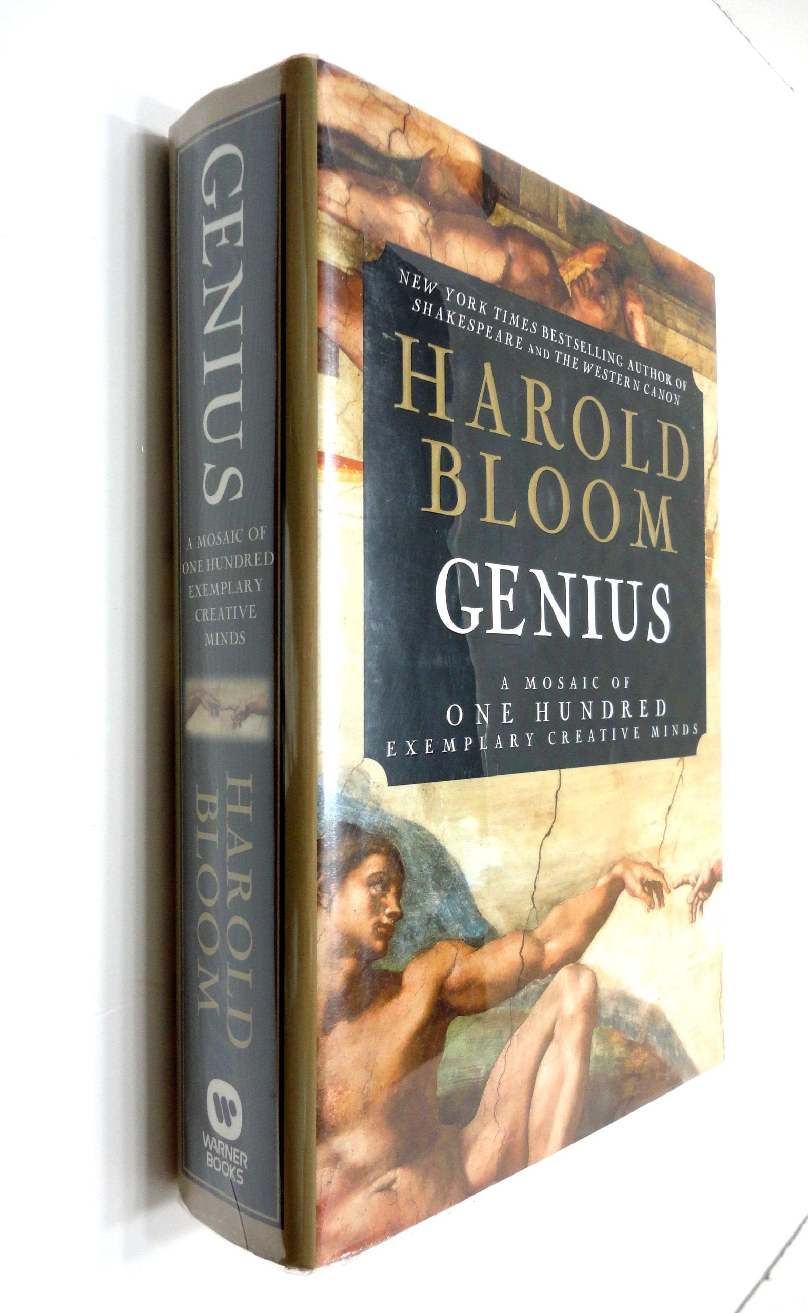 Genius: A Mosaic of One Hundred Exemplary Creative Minds used book depot