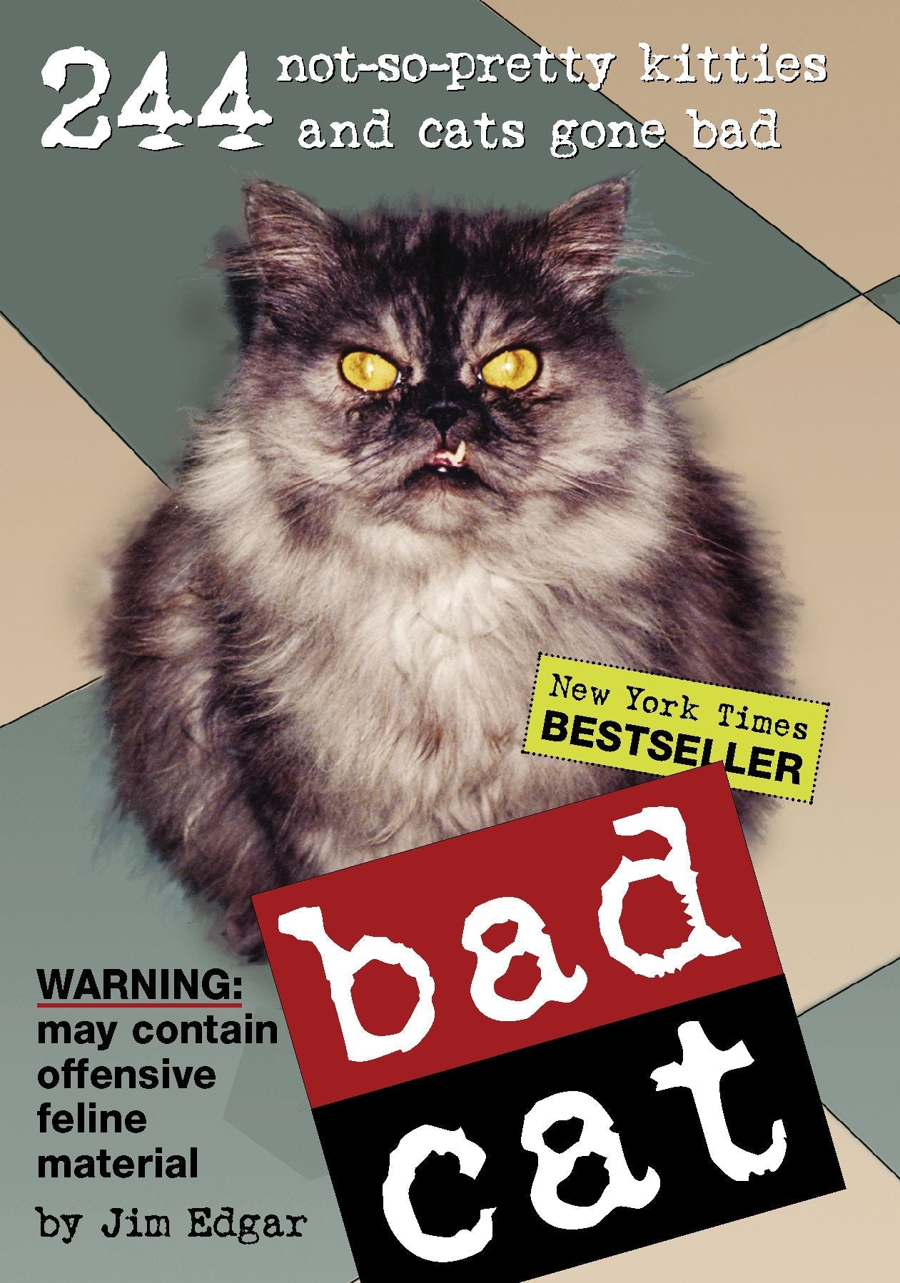 Bad Cat: 244 Not-So-Pretty Kitties and Cats Gone Bad used book depot