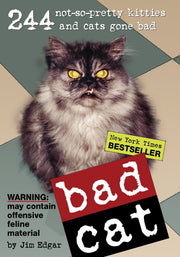 Bad Cat: 244 Not-So-Pretty Kitties and Cats Gone Bad used book depot