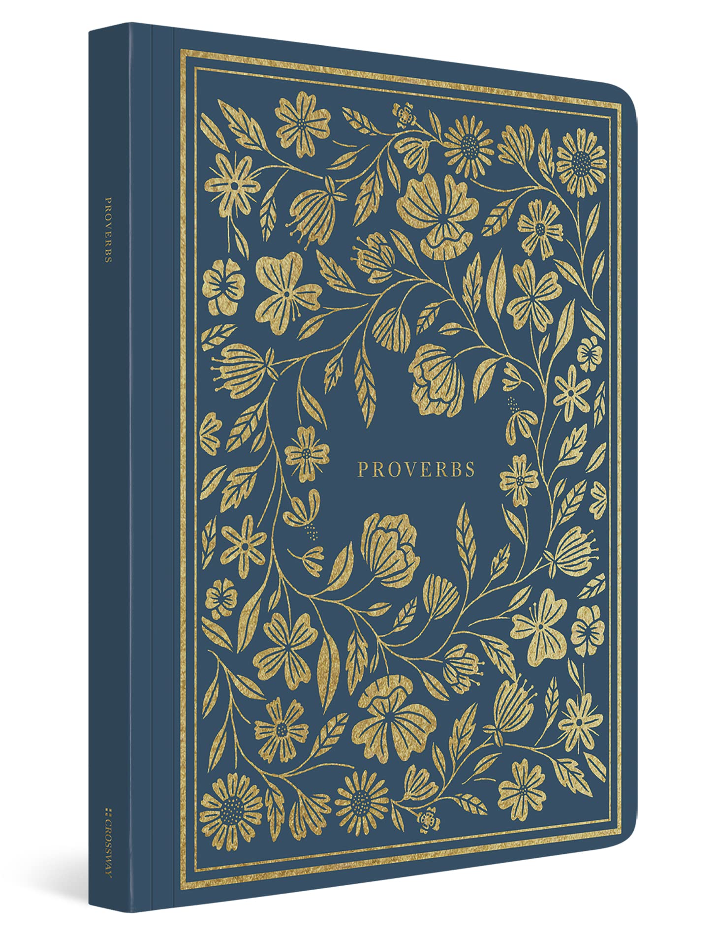 ESV Illuminated Scripture Journal: Proverbs used book depot