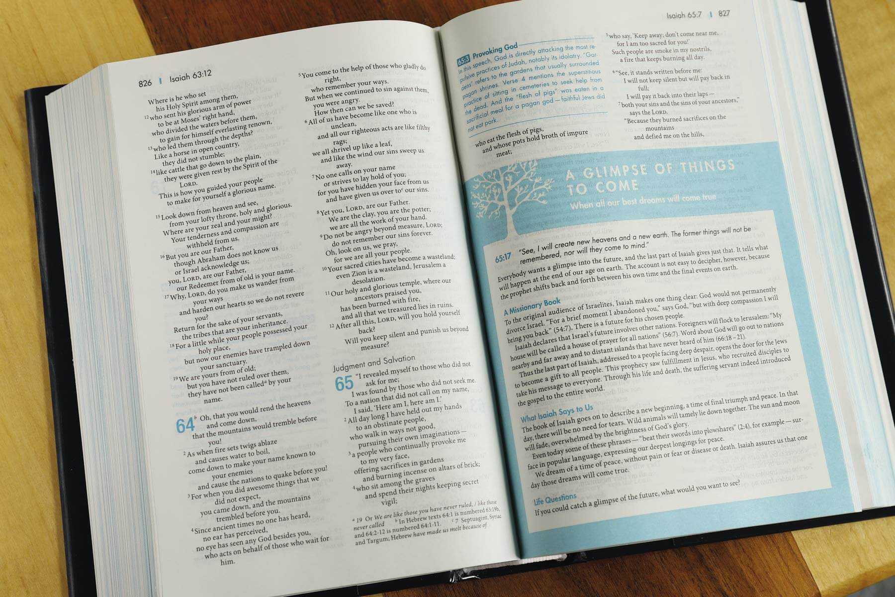 NIV, Student Bible, Compact, Hardcover used book depot