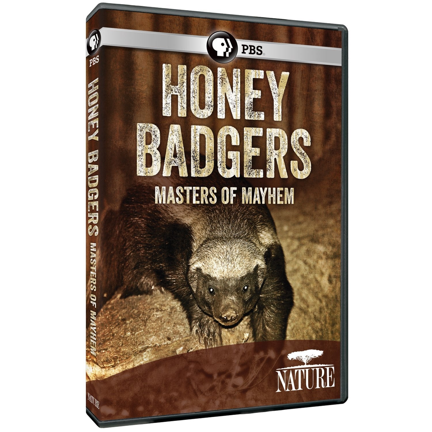 Nature: Honey Badgers: Masters of Mayhem used book depot