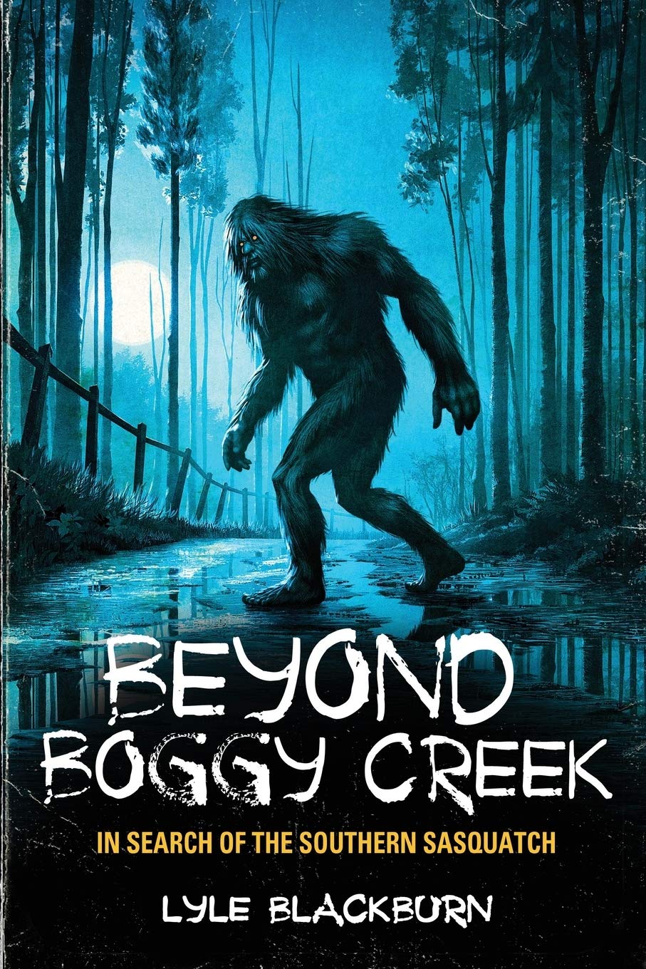 Beyond Boggy Creek: In Search of the Southern Sasquatch used book depot