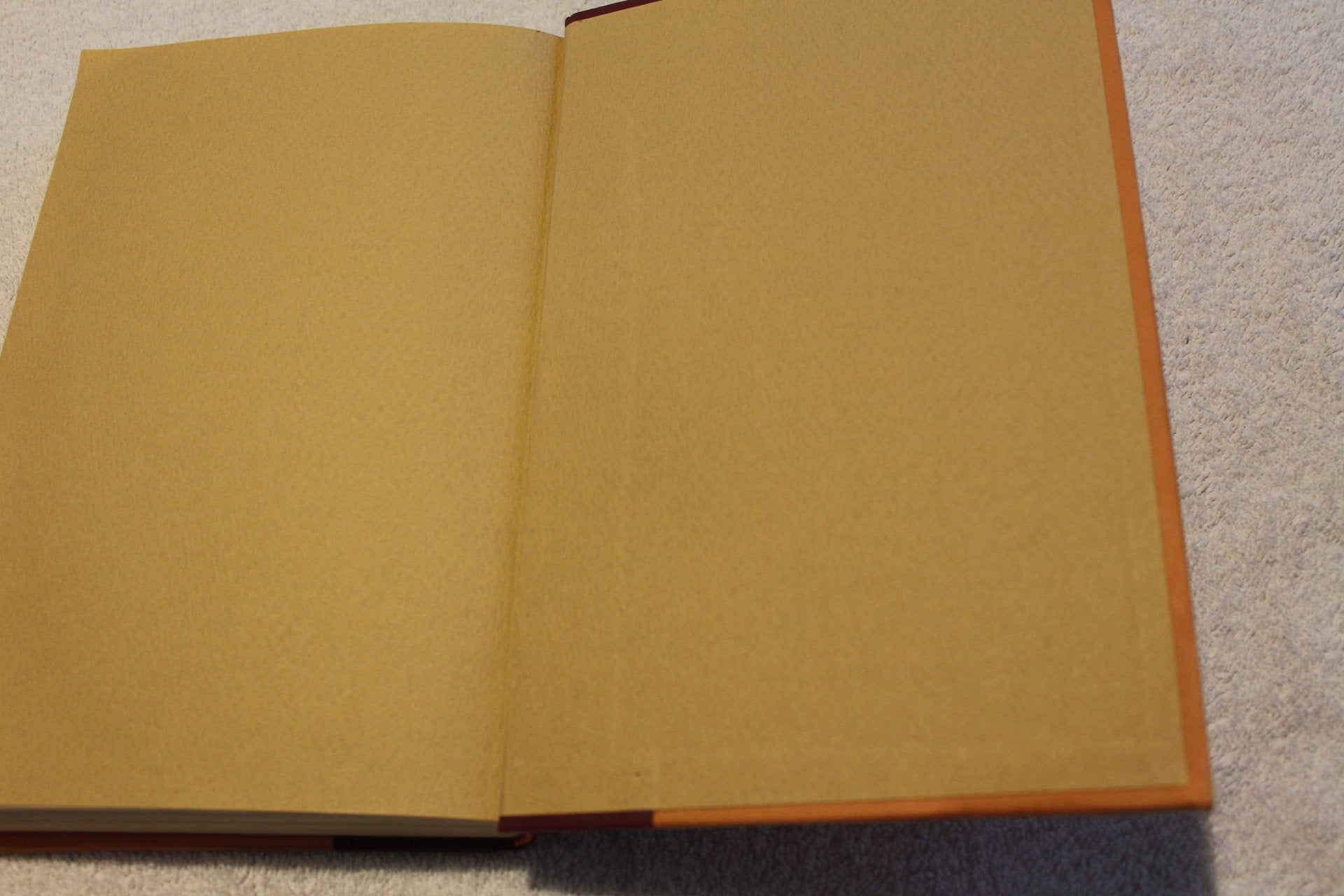 Life at the Dakota: New York's Most Unusual Address used book depot