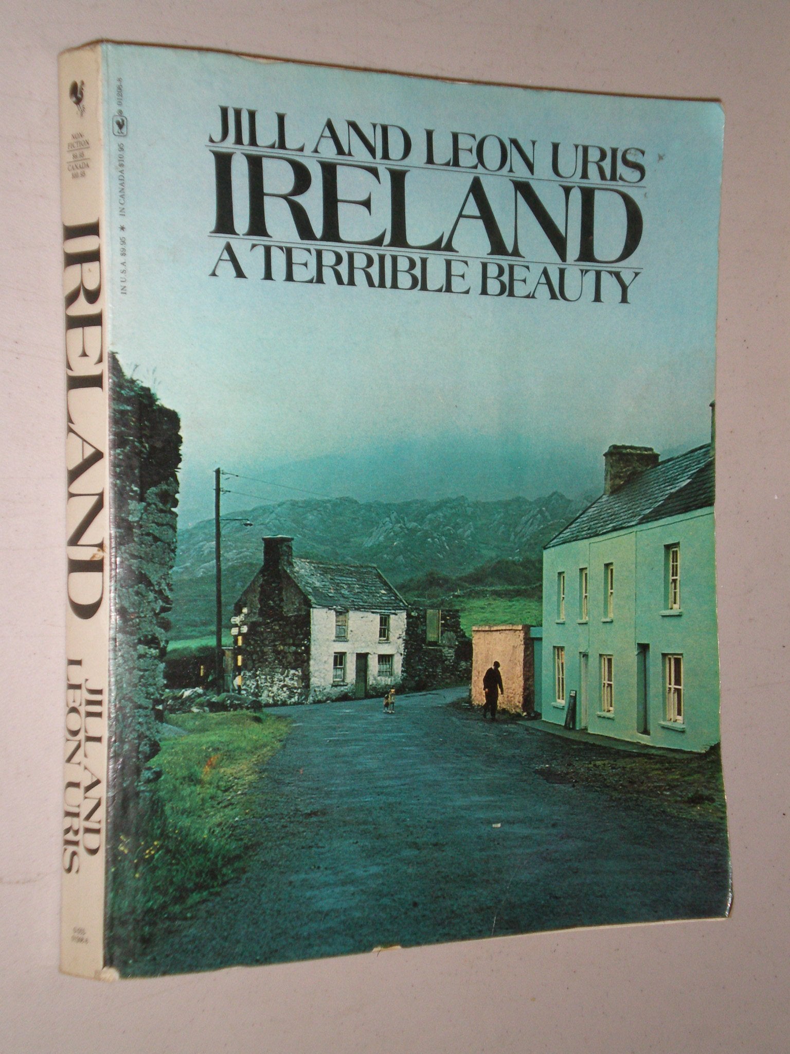 Ireland a Terrible Beauty used book depot