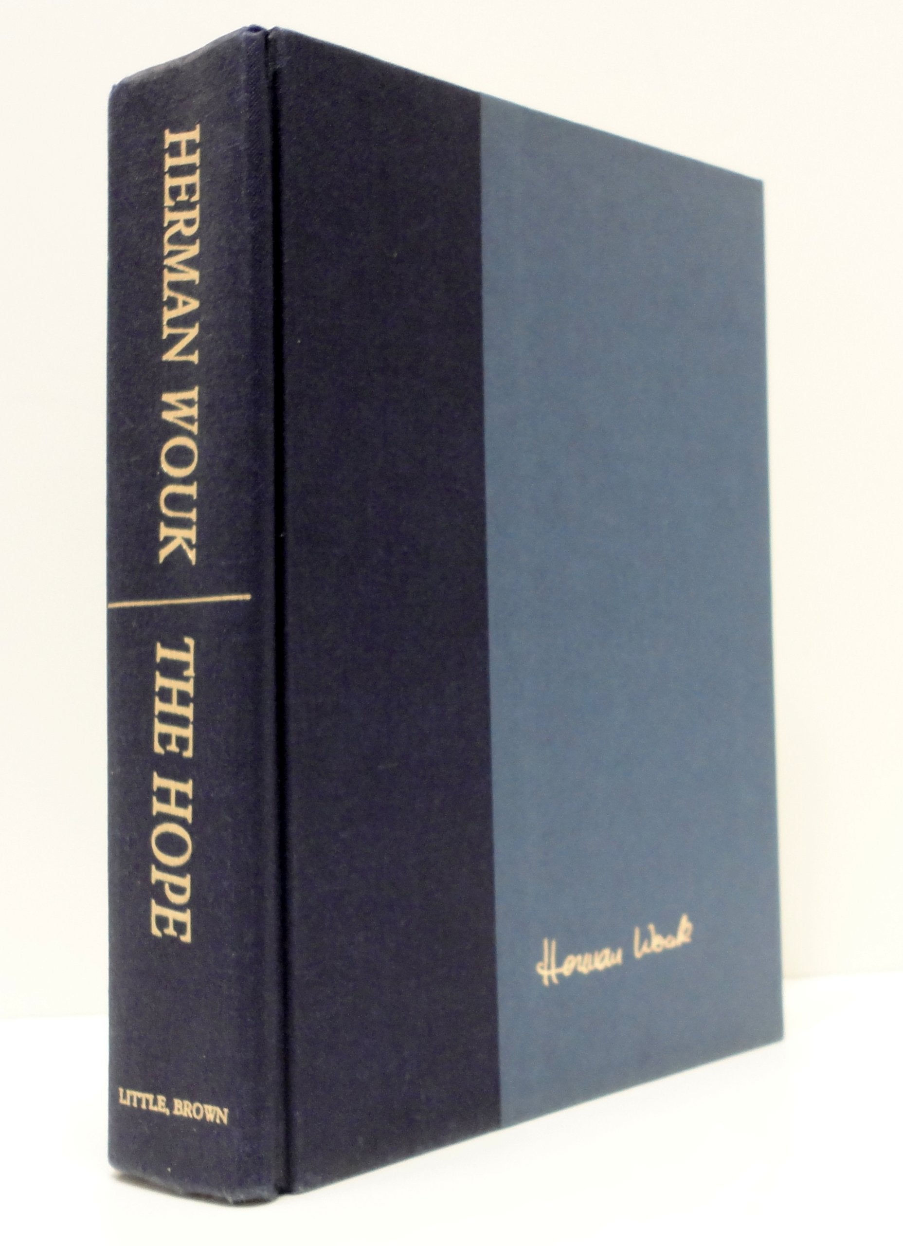 The Hope, A Novel used book depot