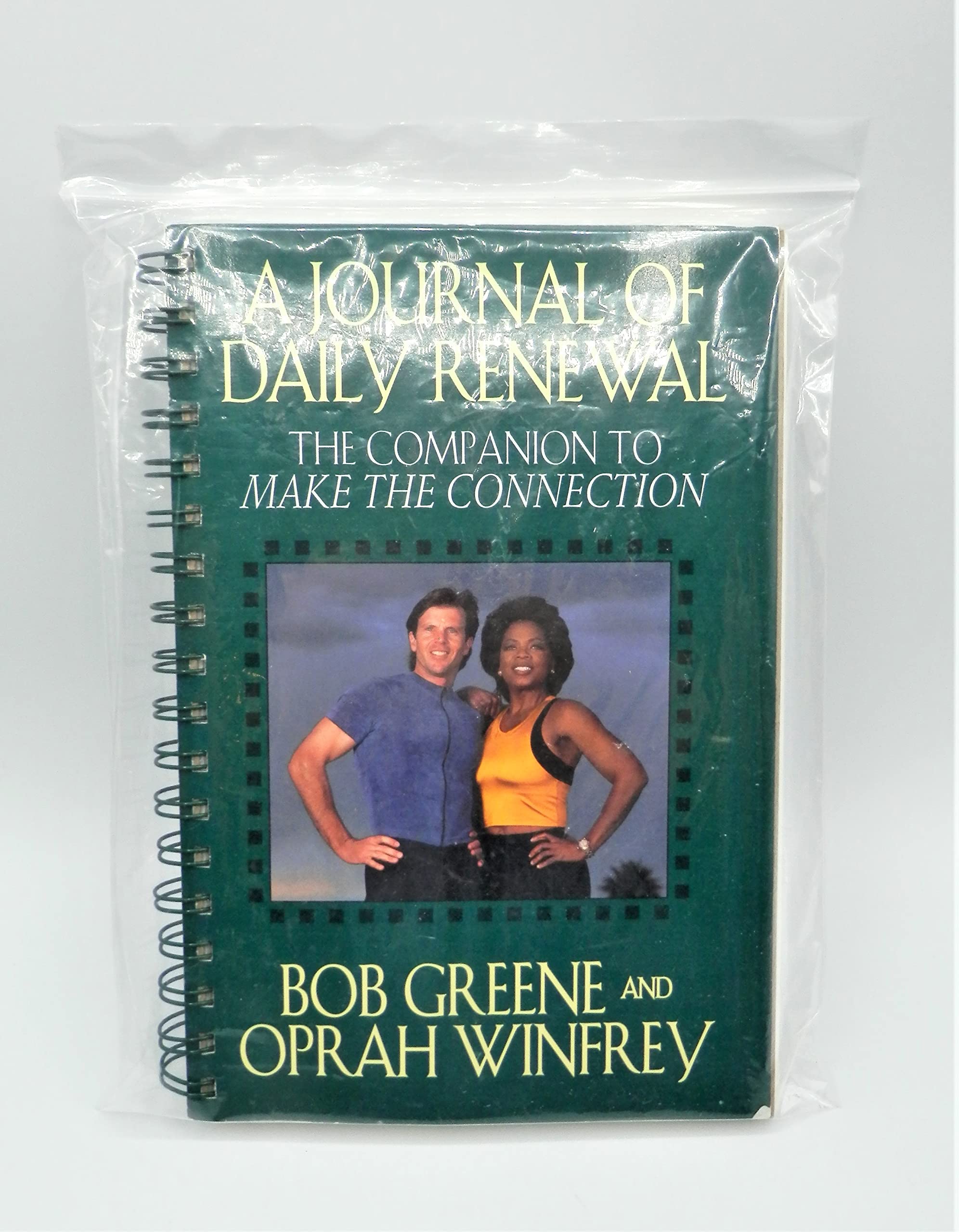 The Journal of Daily Renewal: The Companion to Make the Connection