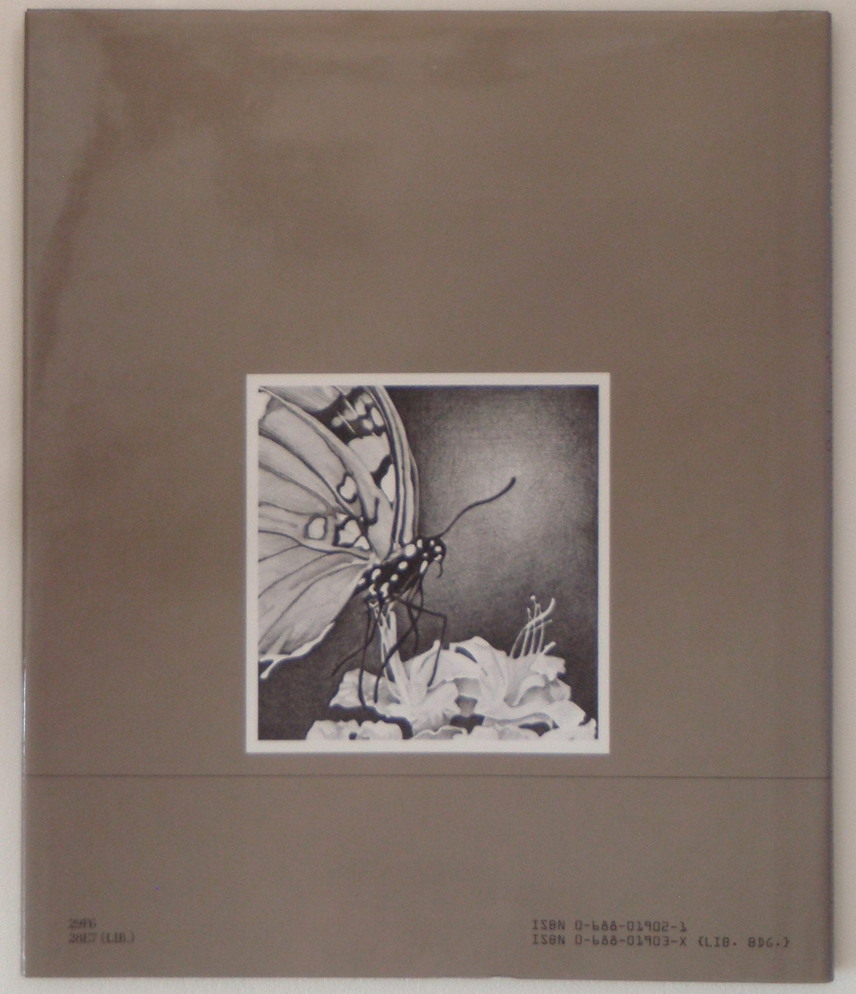The Story of Jumping Mouse: A Caldecott Honor Award Winner used book depot