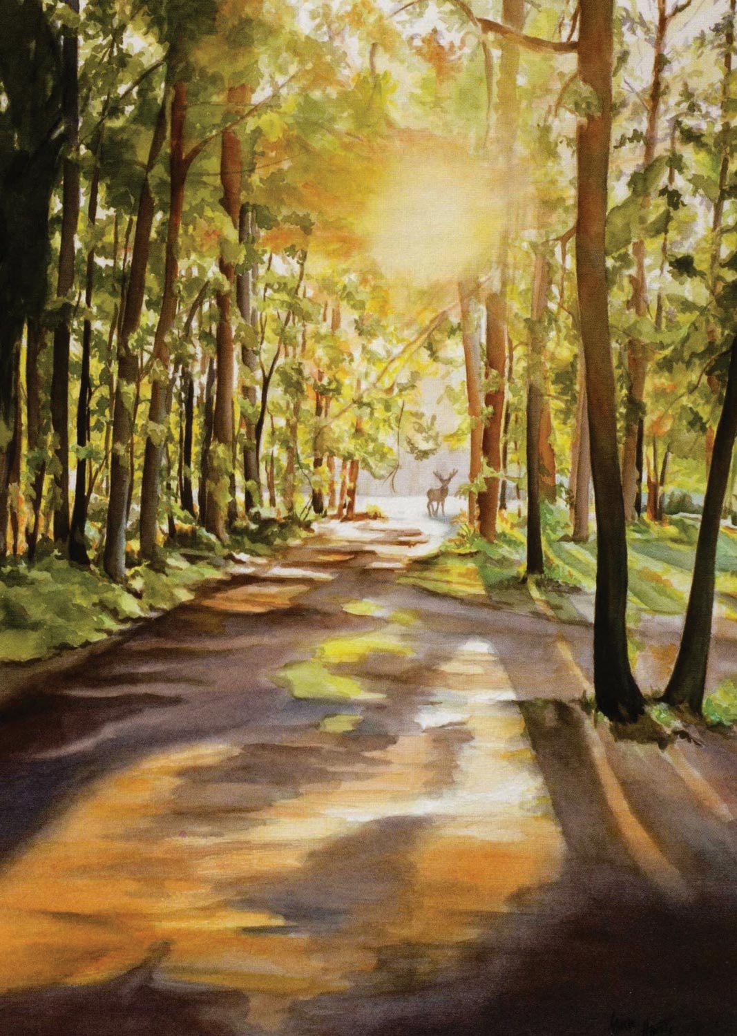Watercolor Depth And Realism used book depot