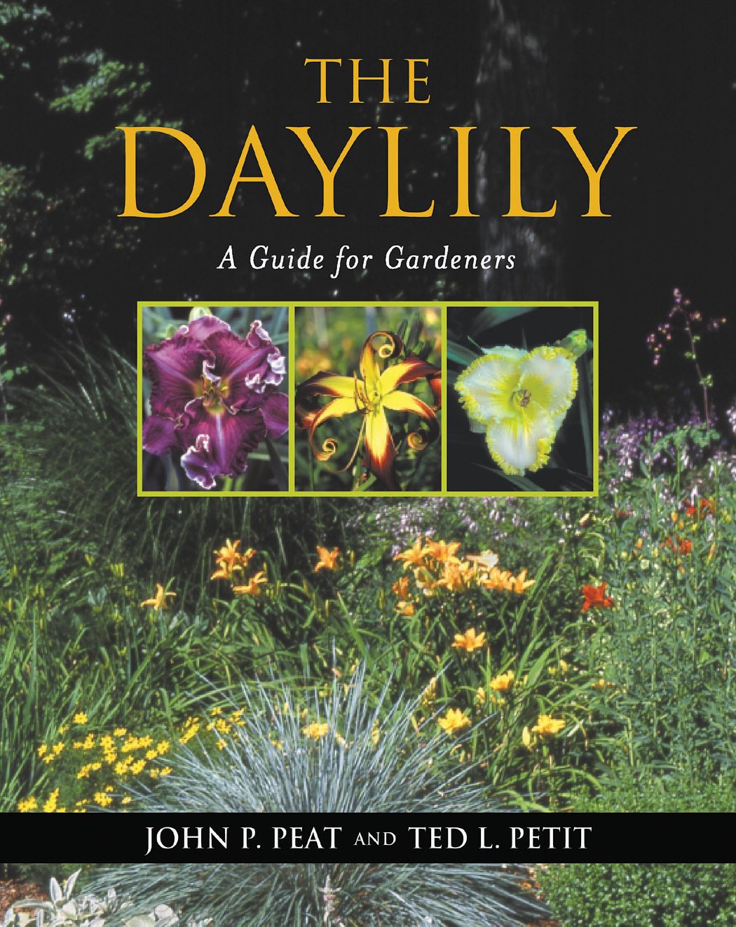 The Daylily: A Guide for Gardeners used book depot