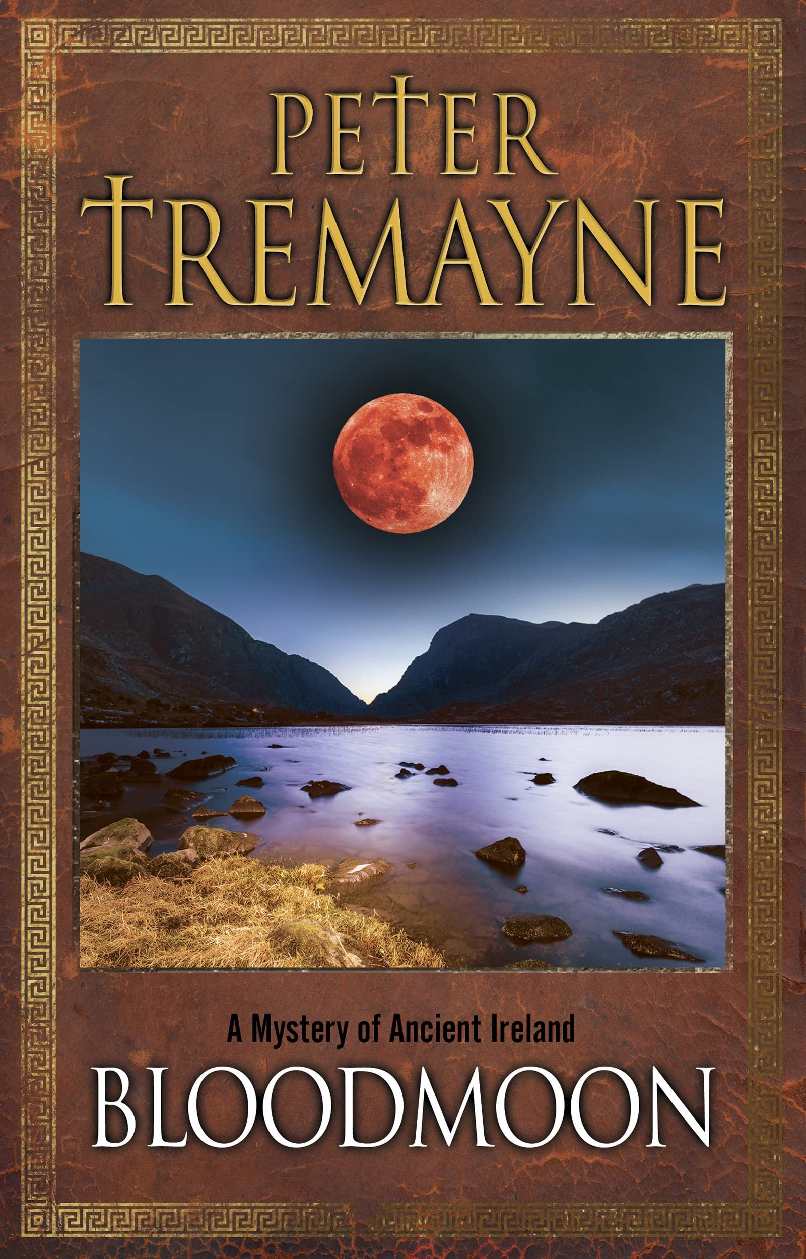 Bloodmoon (A Sister Fidelma Mystery, 29) used book depot